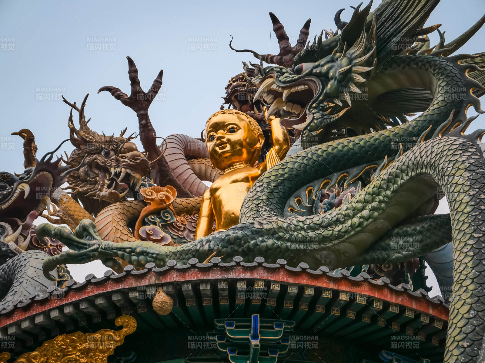 龍騰金佛 廟宇之巔