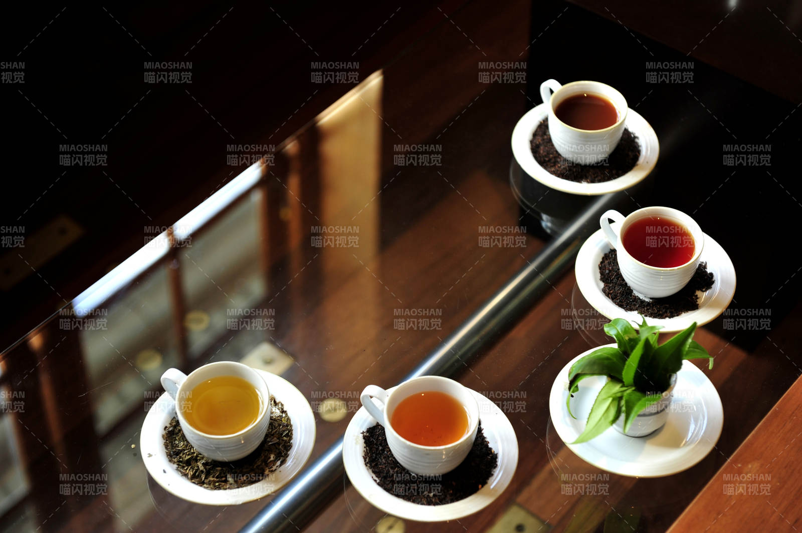 茶香四溢 靜享時光