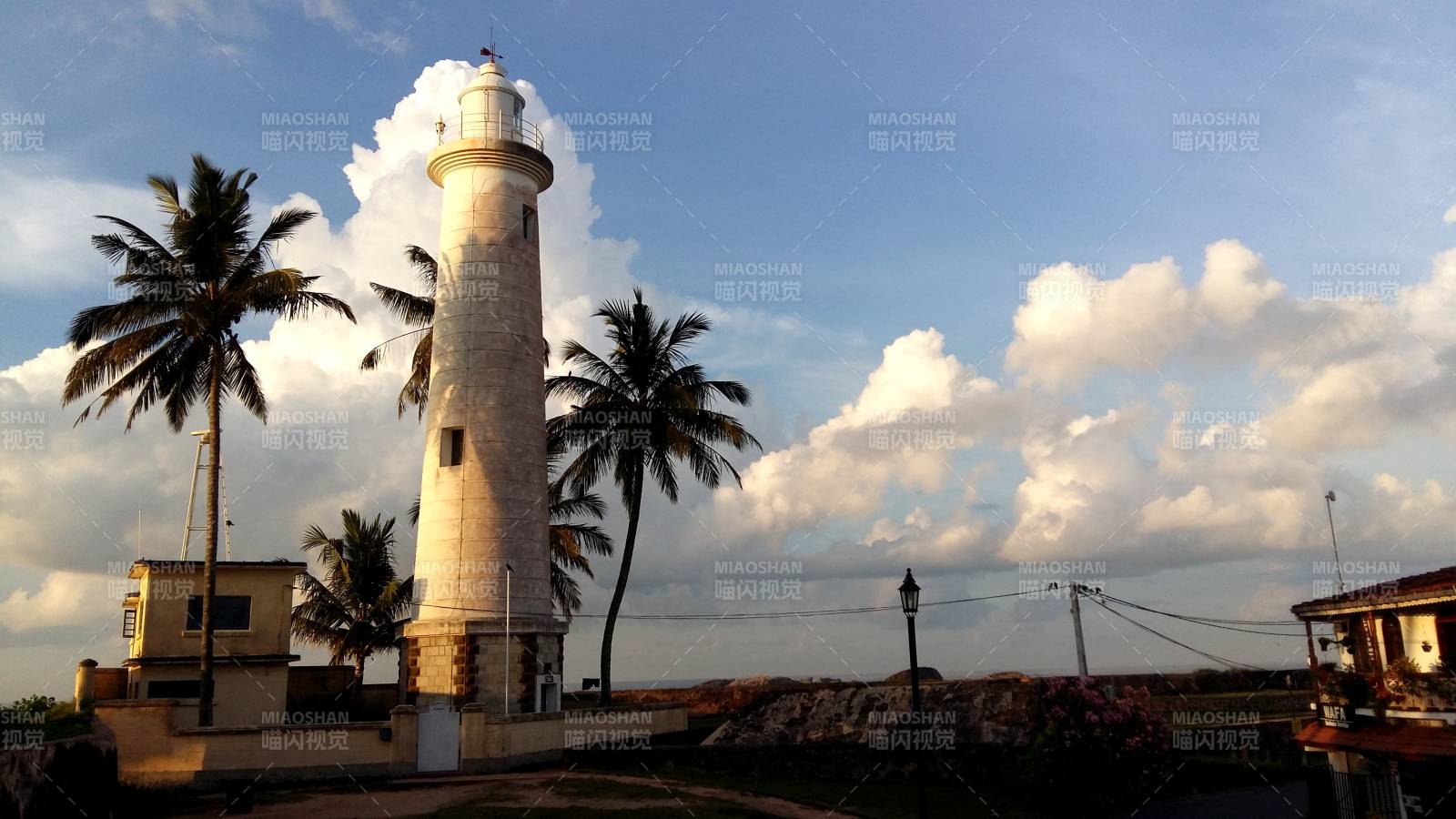 海邊燈塔與椰樹風光