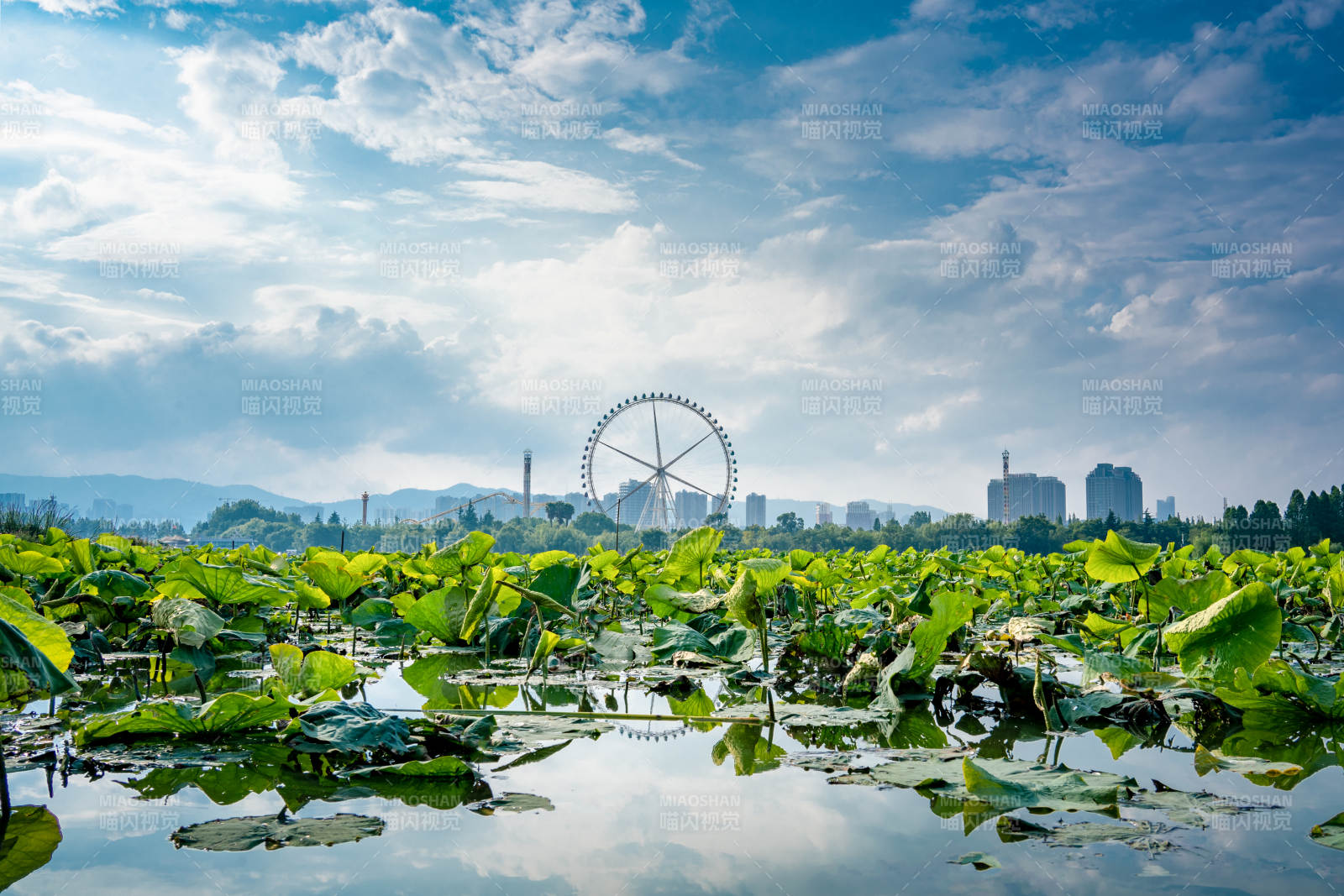 滇池湖畔摩天輪 綠意盎然