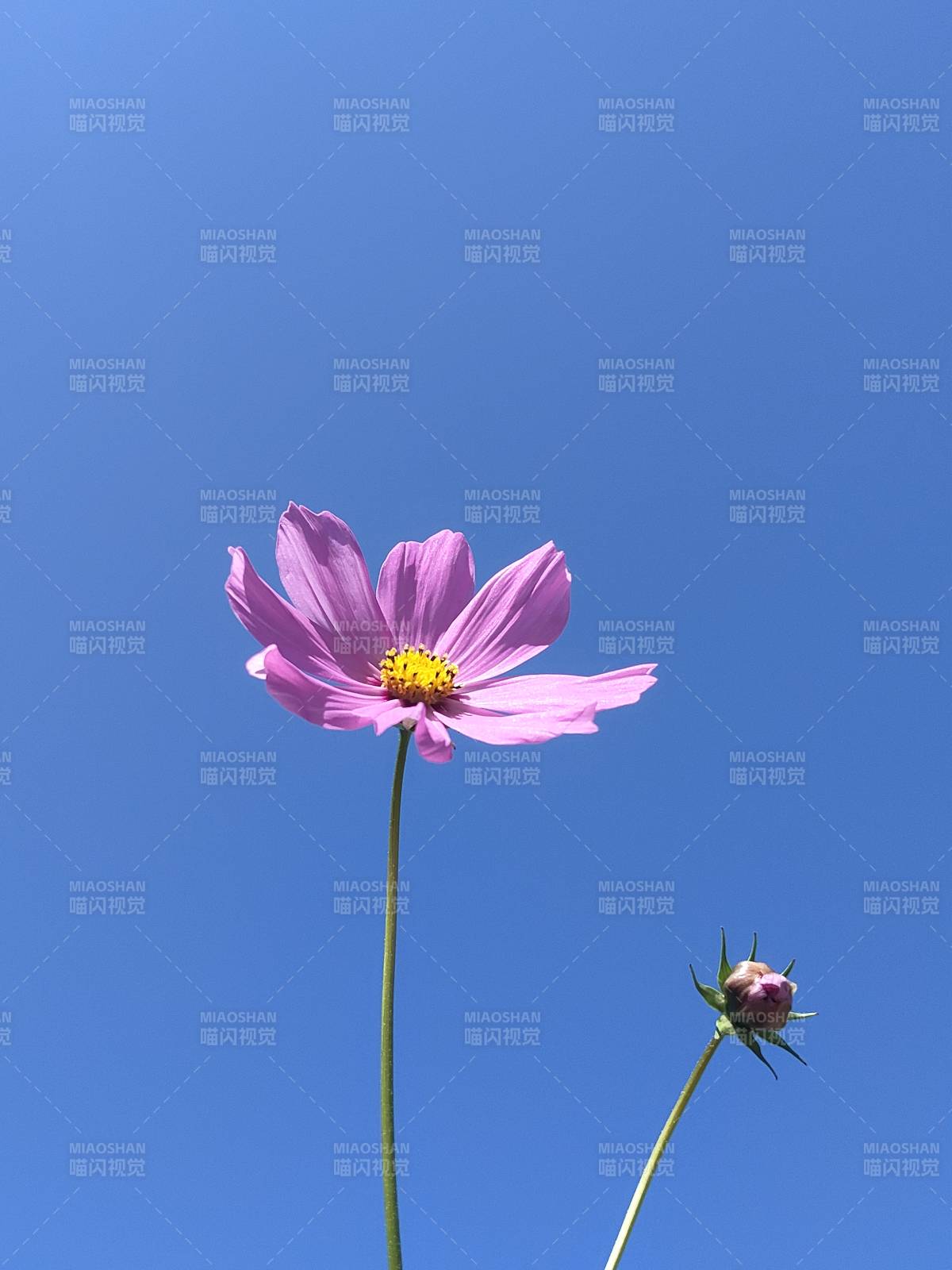 藍天下的格?；?>
      </div>
      <div   id=