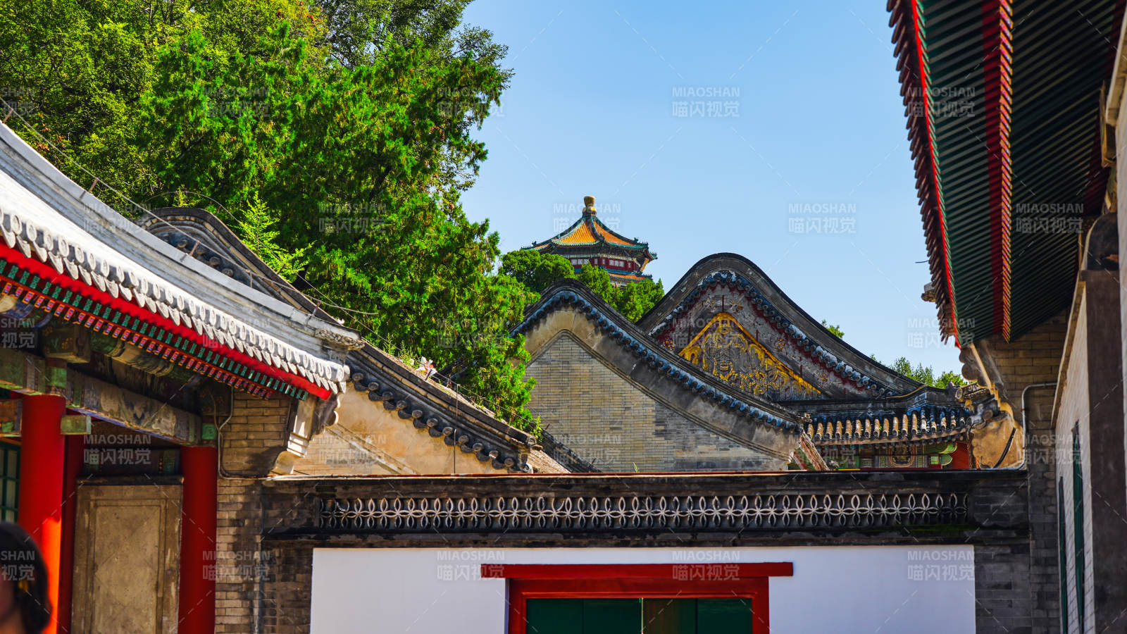 頤和園古建筑群與綠樹相映成趣