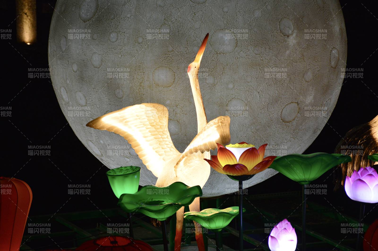月夜鶴舞蓮花燈影