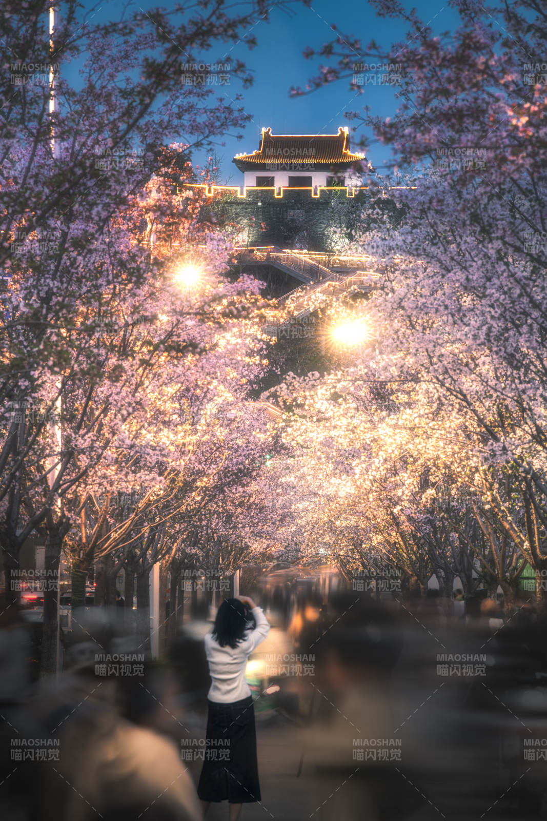 南京夜櫻下的古城墻