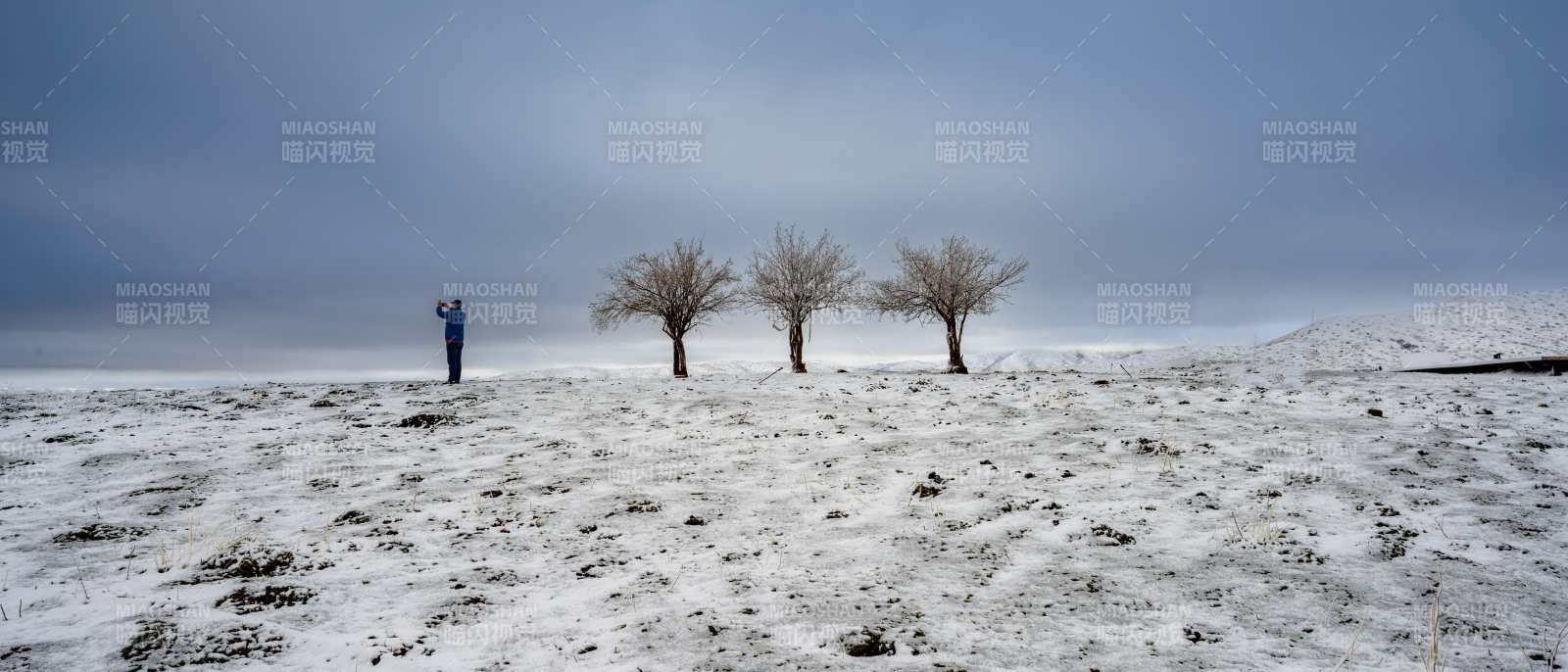 諾爾蓋冬季雪地孤影與三樹