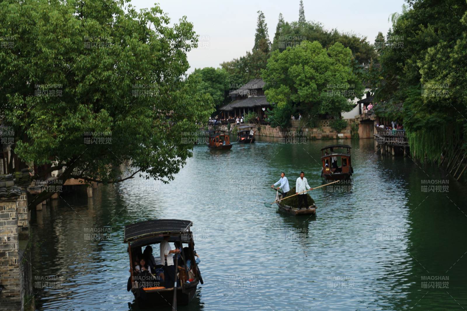 浙江烏鎮 水鄉古鎮 小舟悠悠