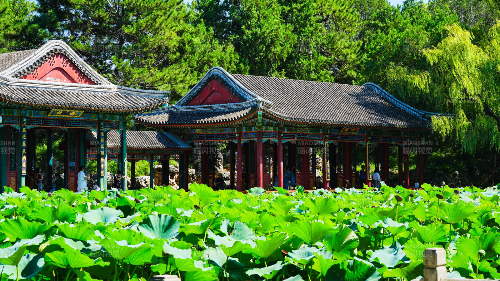 頤和園荷塘邊的古典建筑