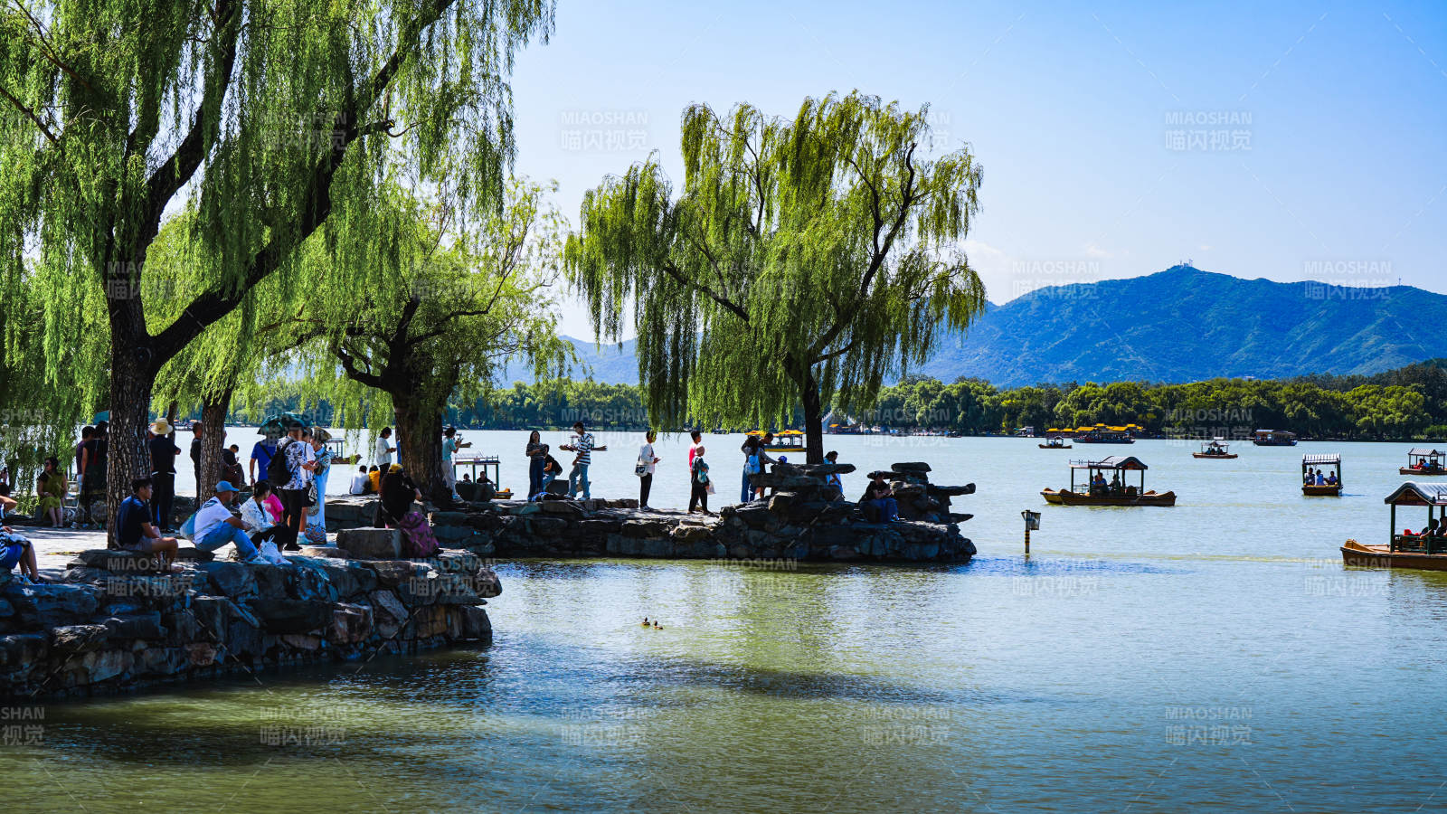 颐和园湖畔垂柳 游人如织