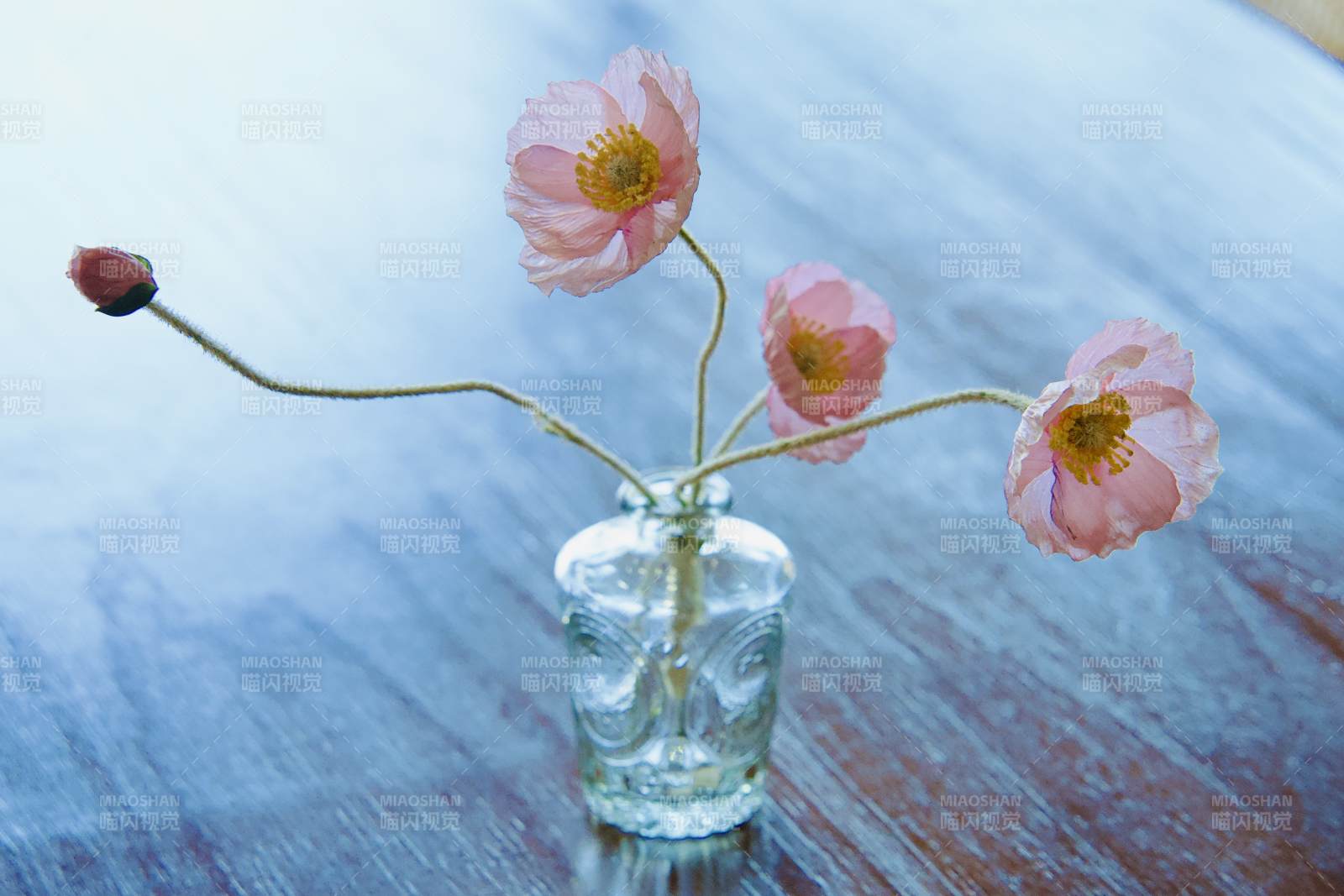 花瓶中的粉紅花朵