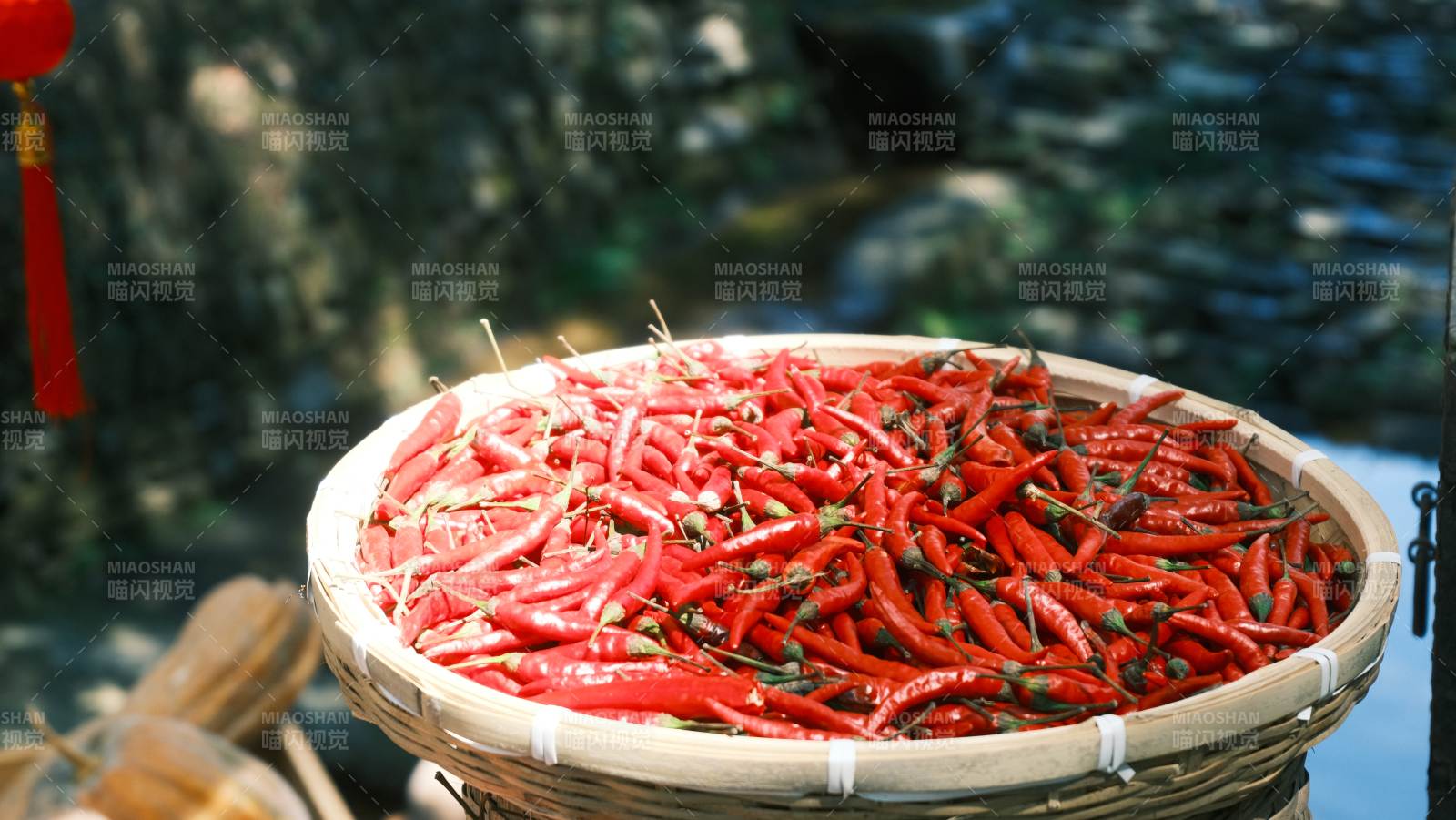 紅辣椒滿籃
