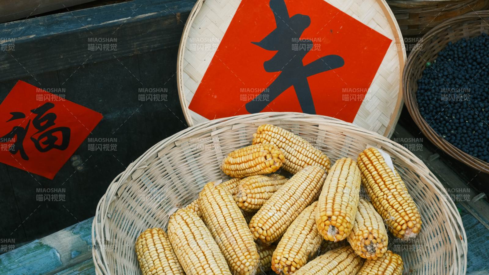 玉米豐收喜迎年