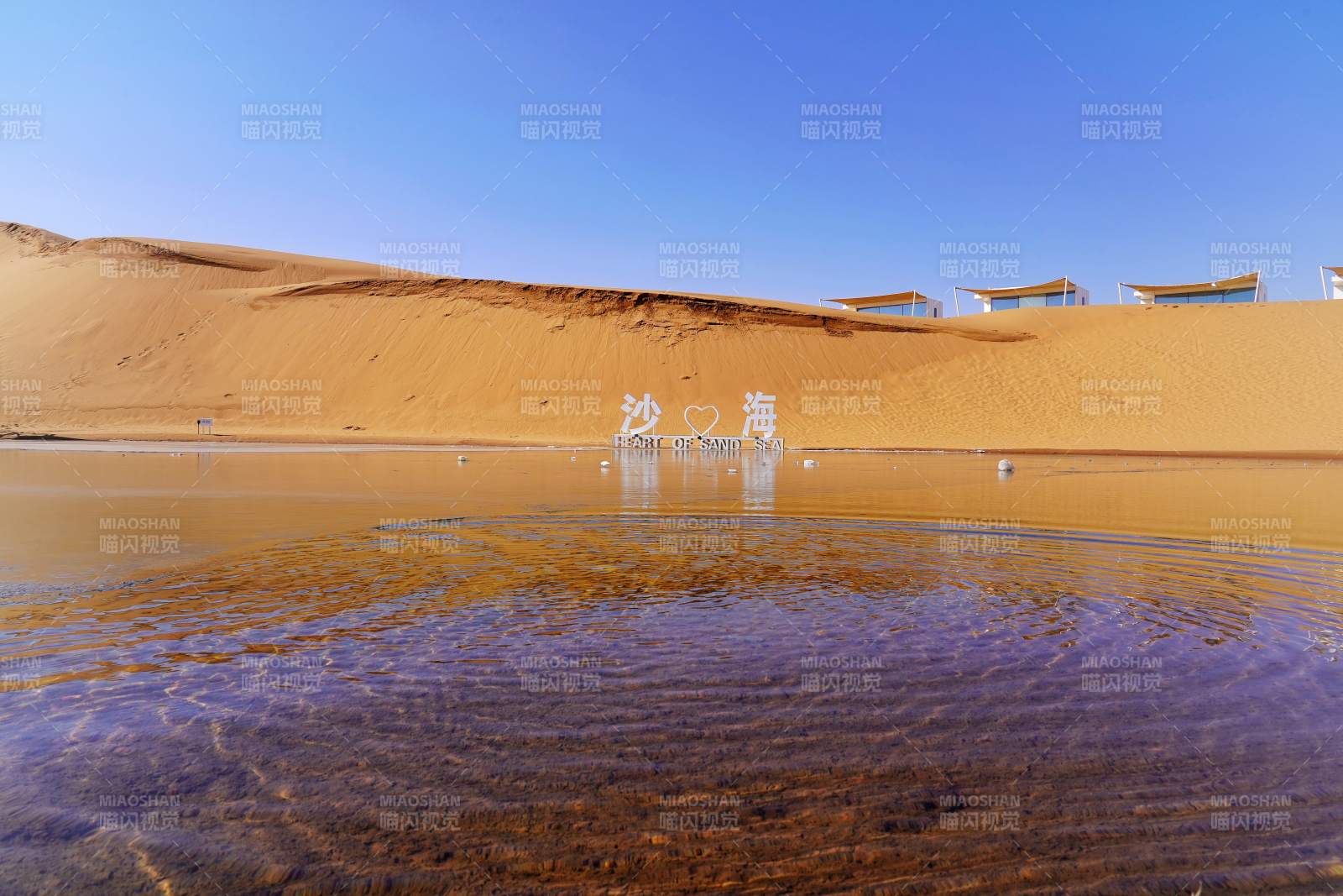中衛少坡頭景區的沙海景觀