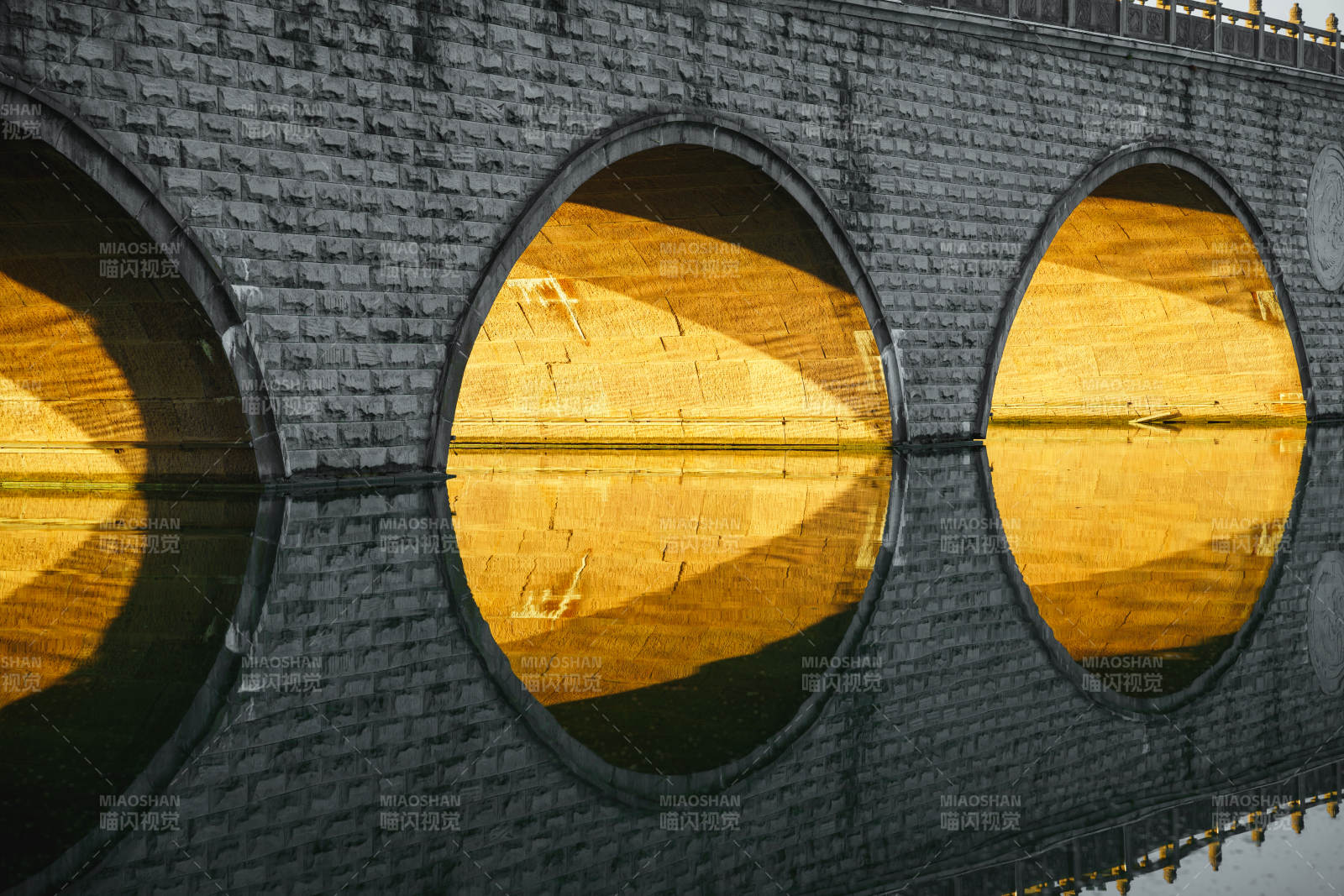 圓窗映金光