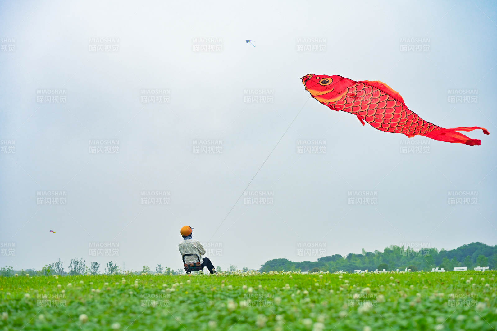 魚形風(fēng)箏飛天