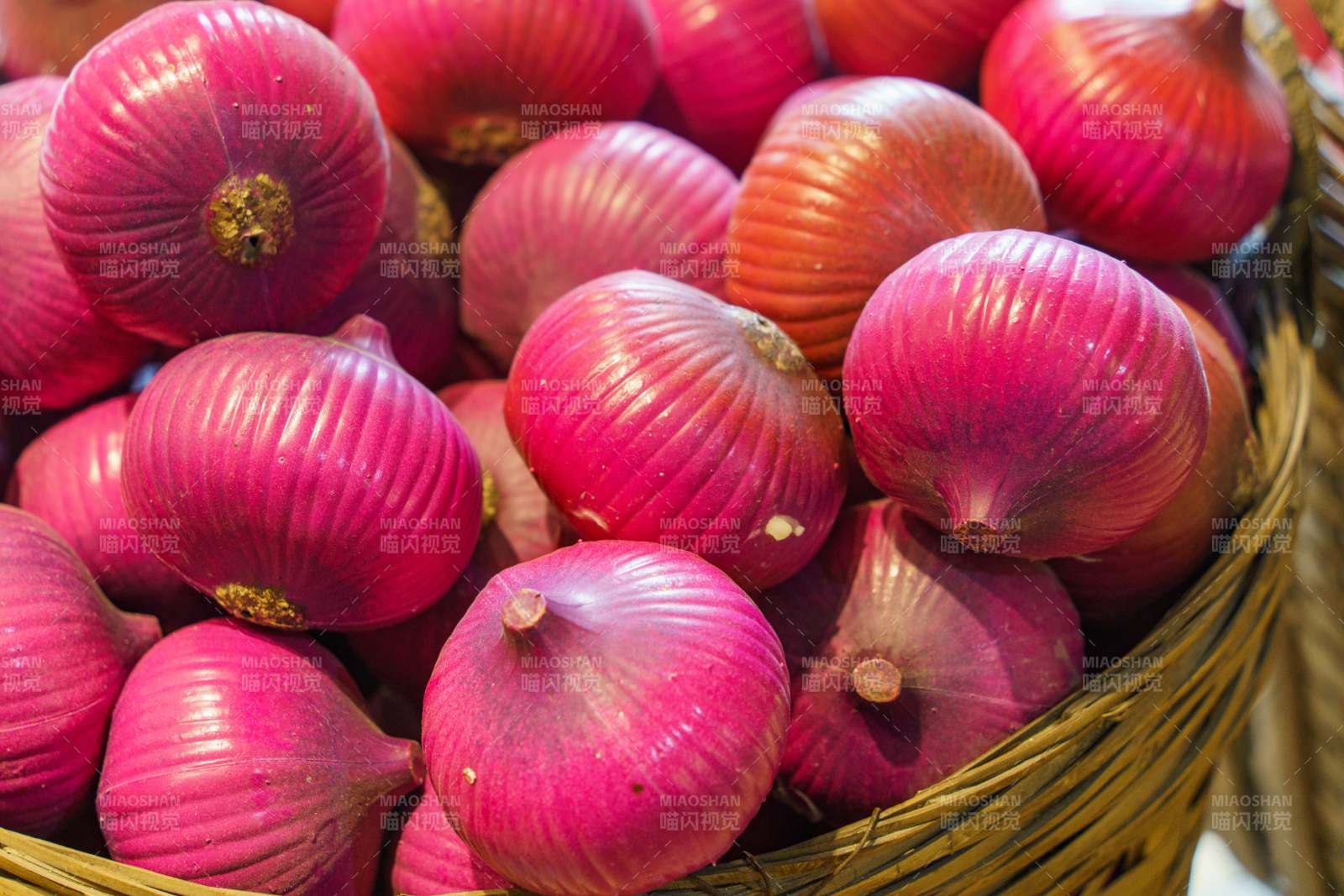 紫洋蔥模型
