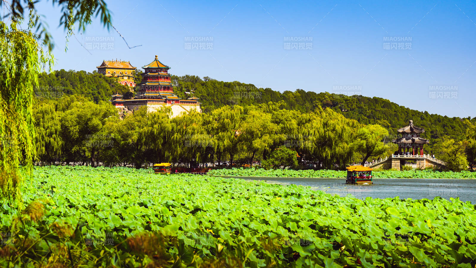 頤和園湖光山色映古塔