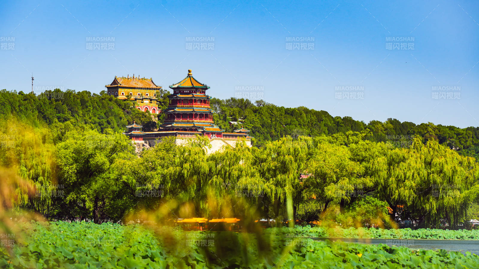 皇家園林春景