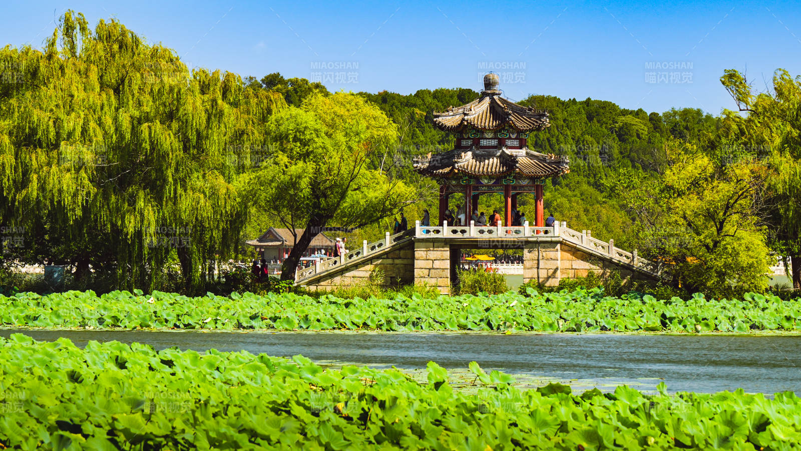 頤和園湖畔亭臺綠意濃