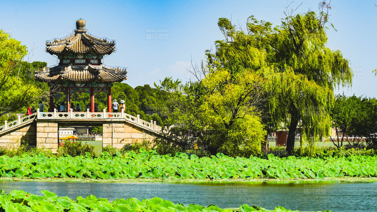 亭臺湖畔綠意濃