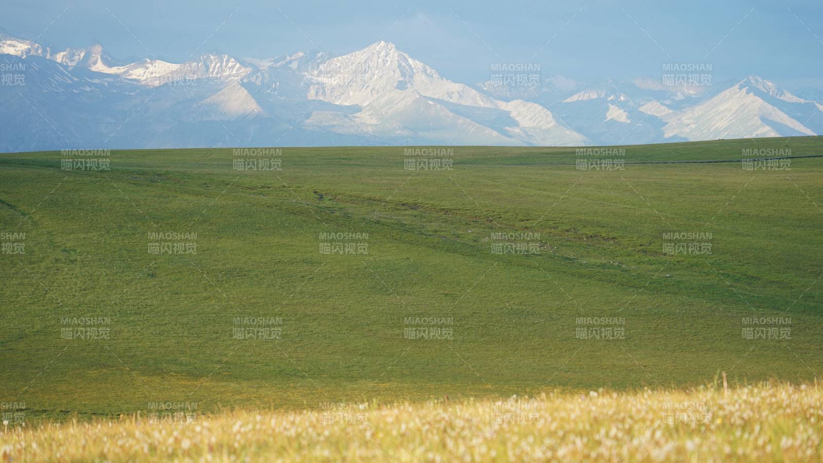 新疆草原風光