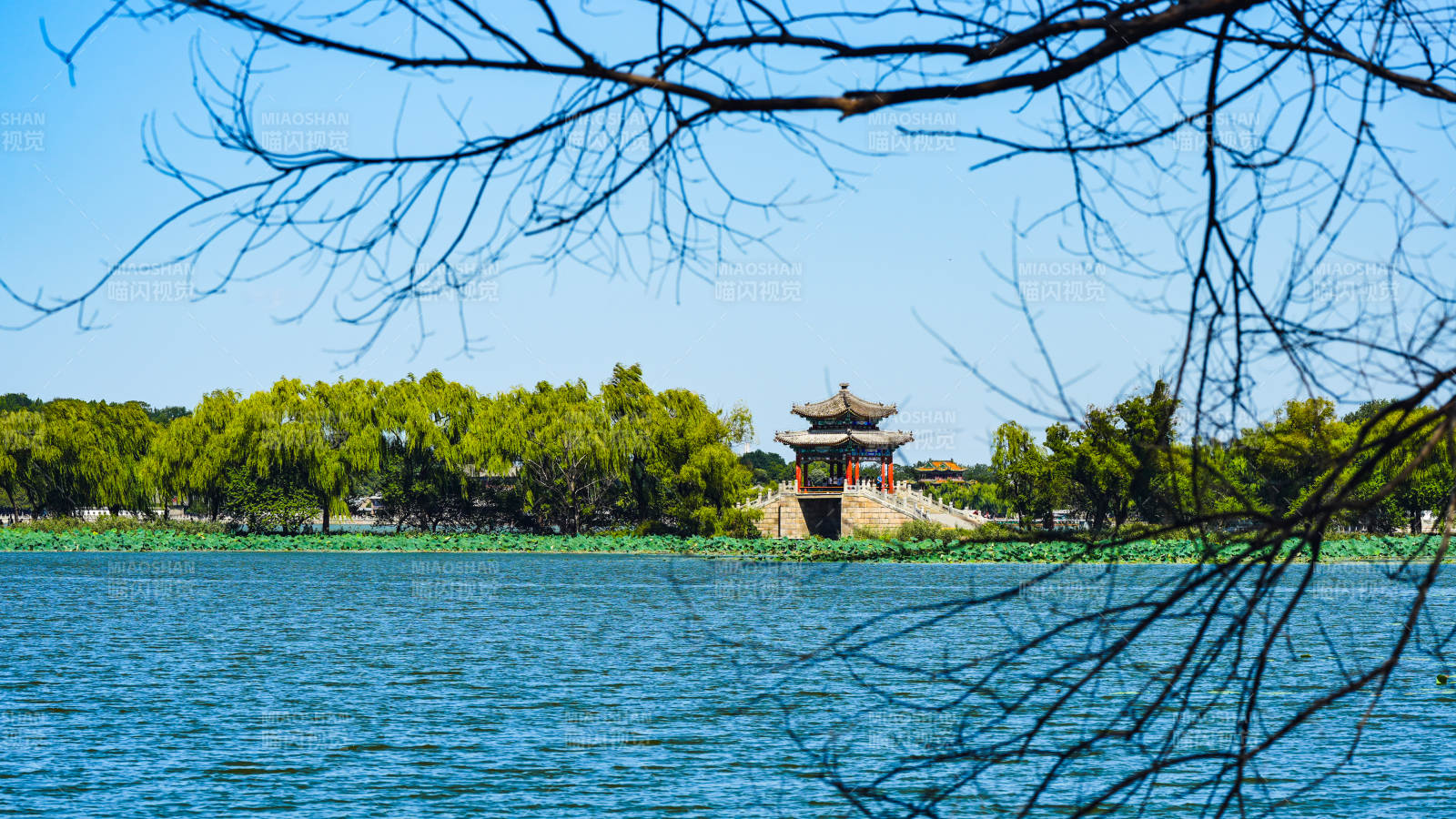 頤和園  湖畔古亭春景
