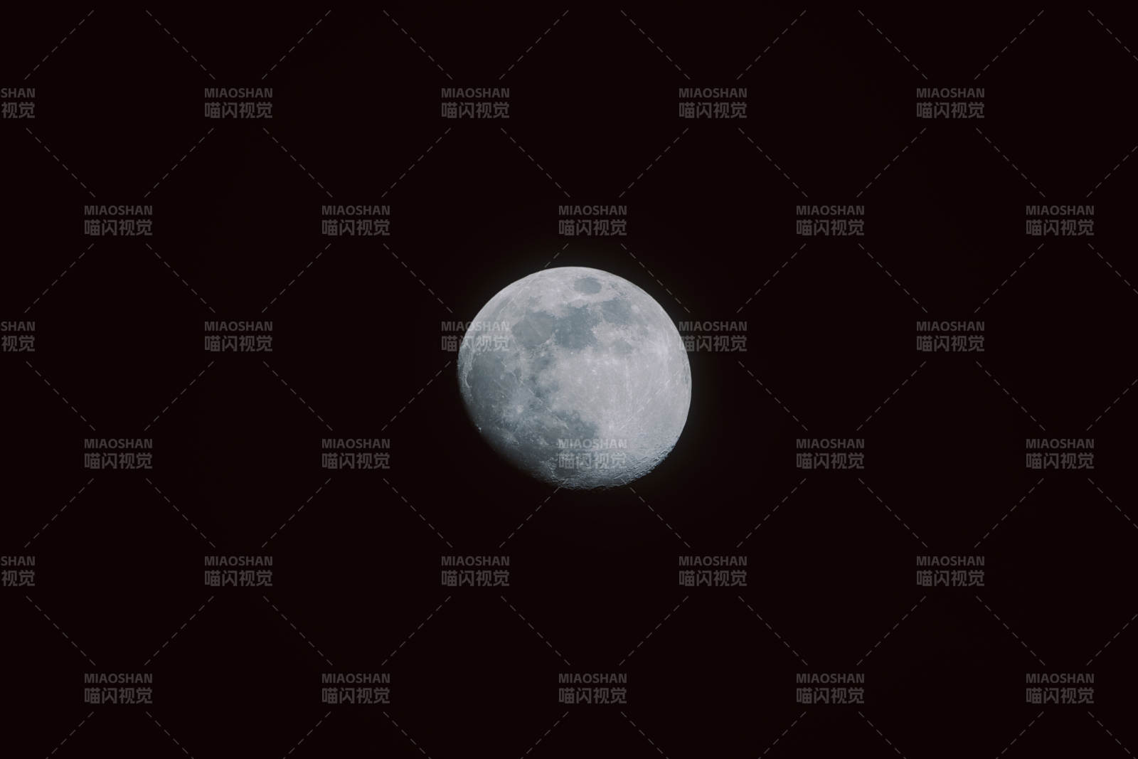 明月高懸夜空