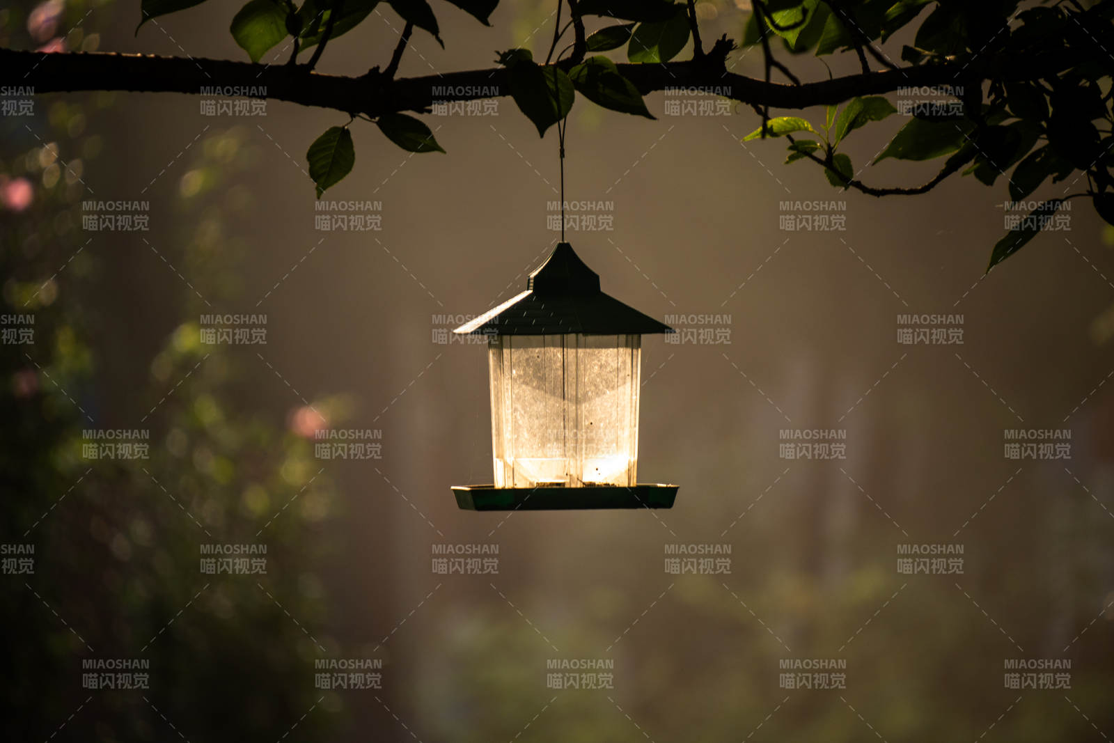 樹(shù)影下的復(fù)古燈