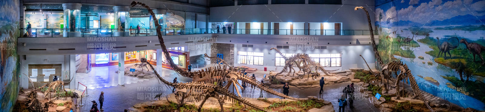 自貢恐龍化石展覽館