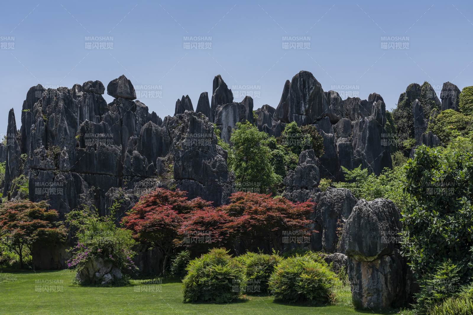 云南石林奇景