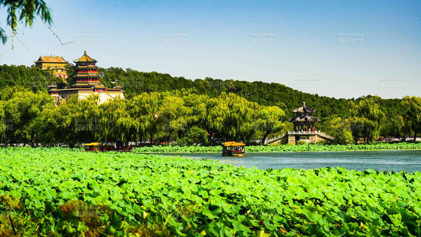 頤和園湖景