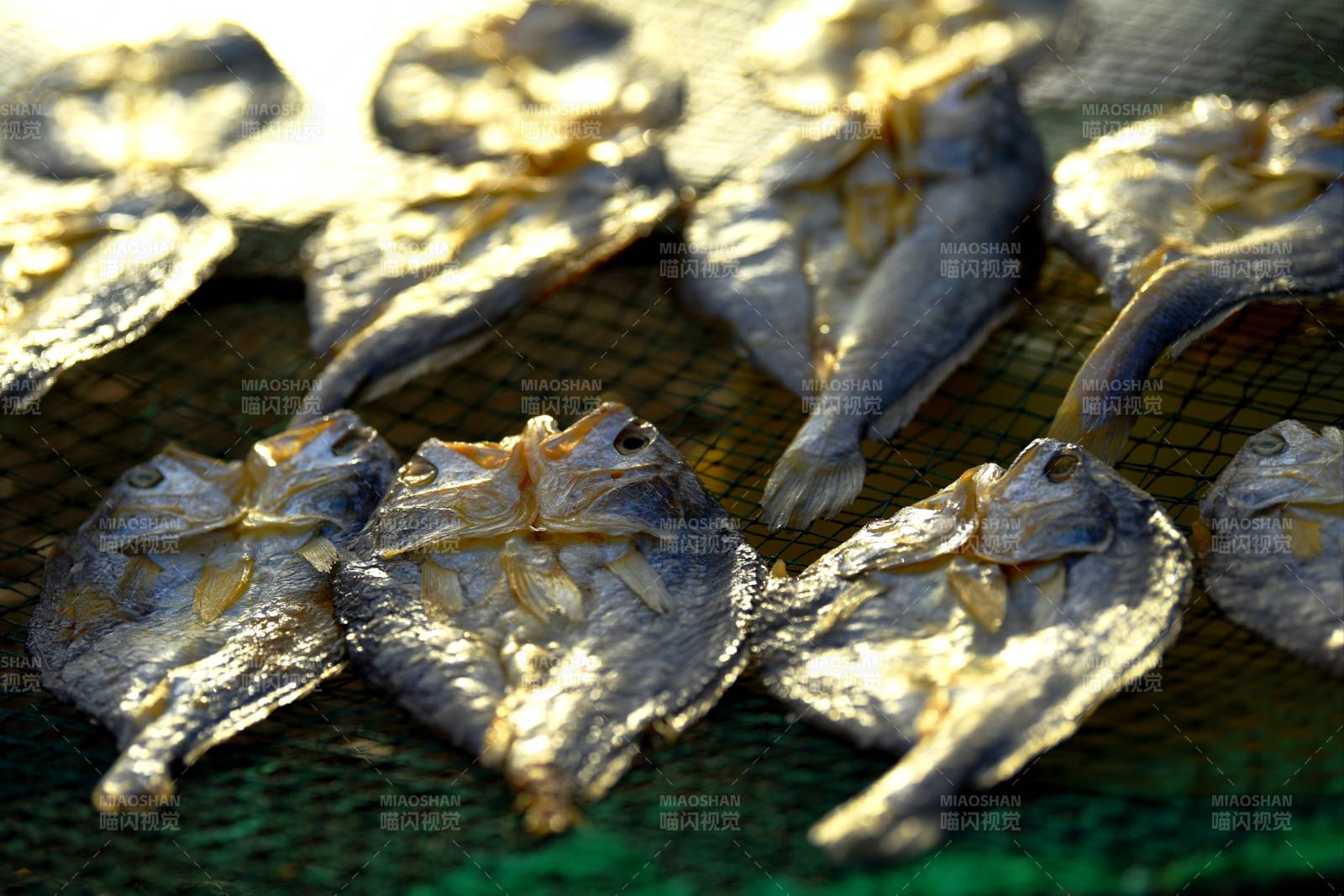 曬干的魚片
