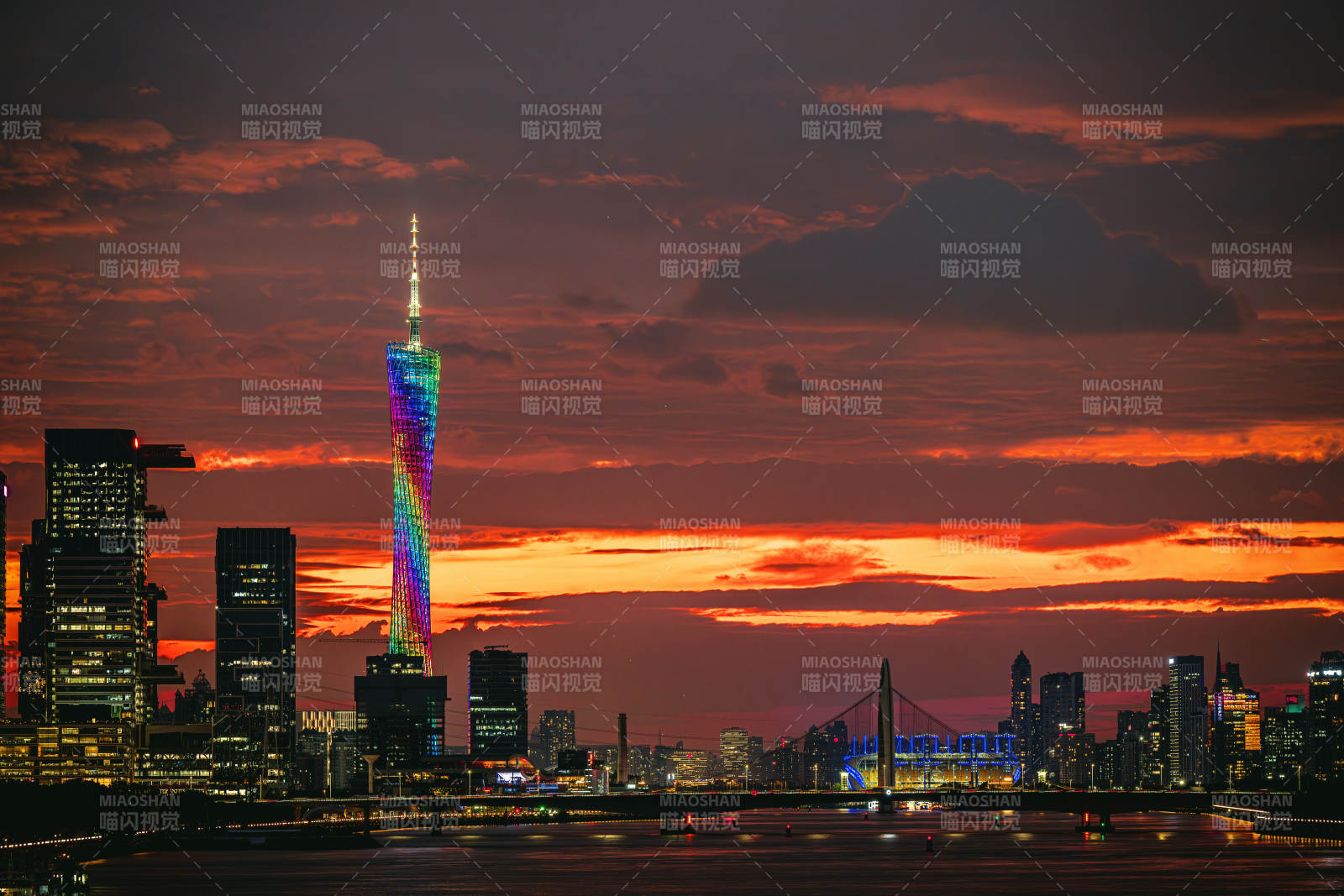 廣州塔夜景璀璨