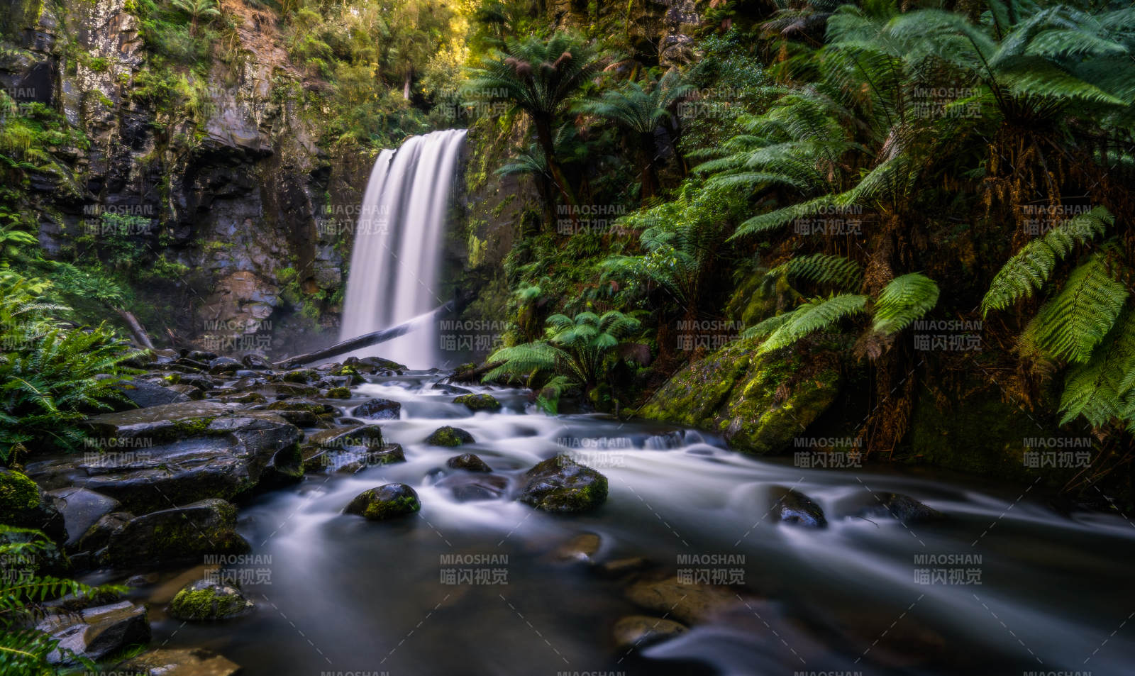 澳洲大洋路沿途森林瀑布