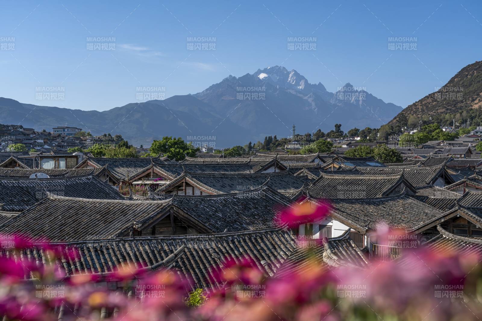 麗江古城與玉龍雪山同框