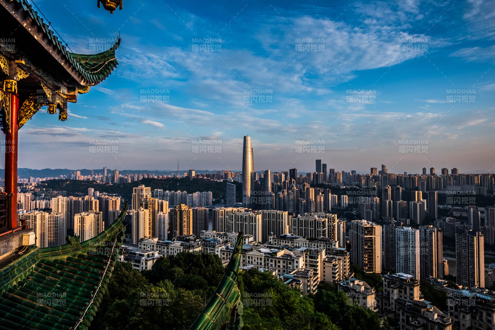 城市天際線美景（鴻恩閣與陸海國際中心）
