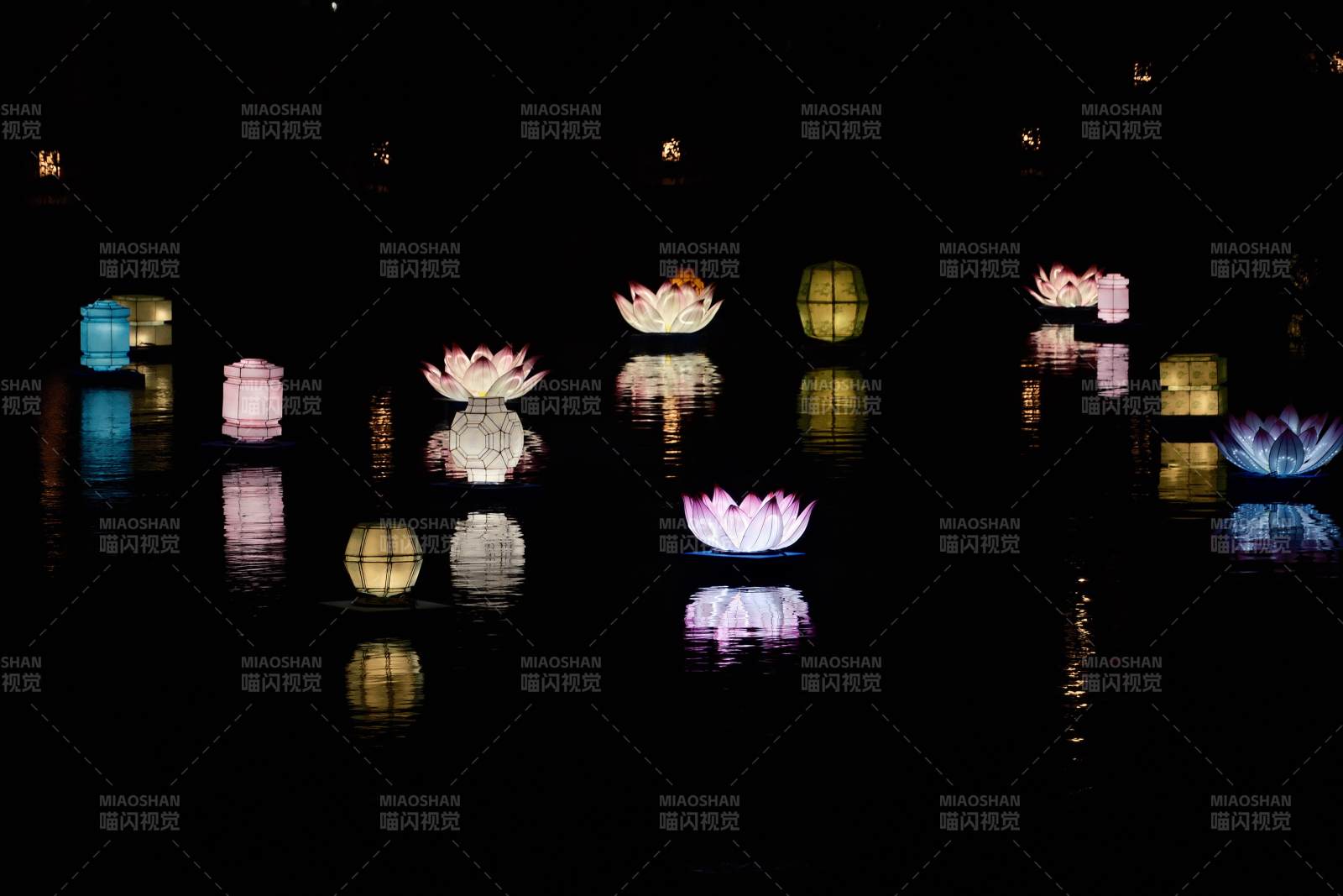 水中蓮花燈影