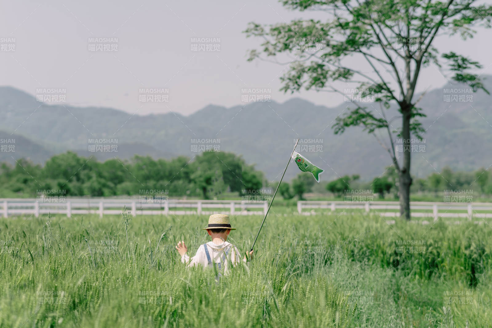 田園放風箏