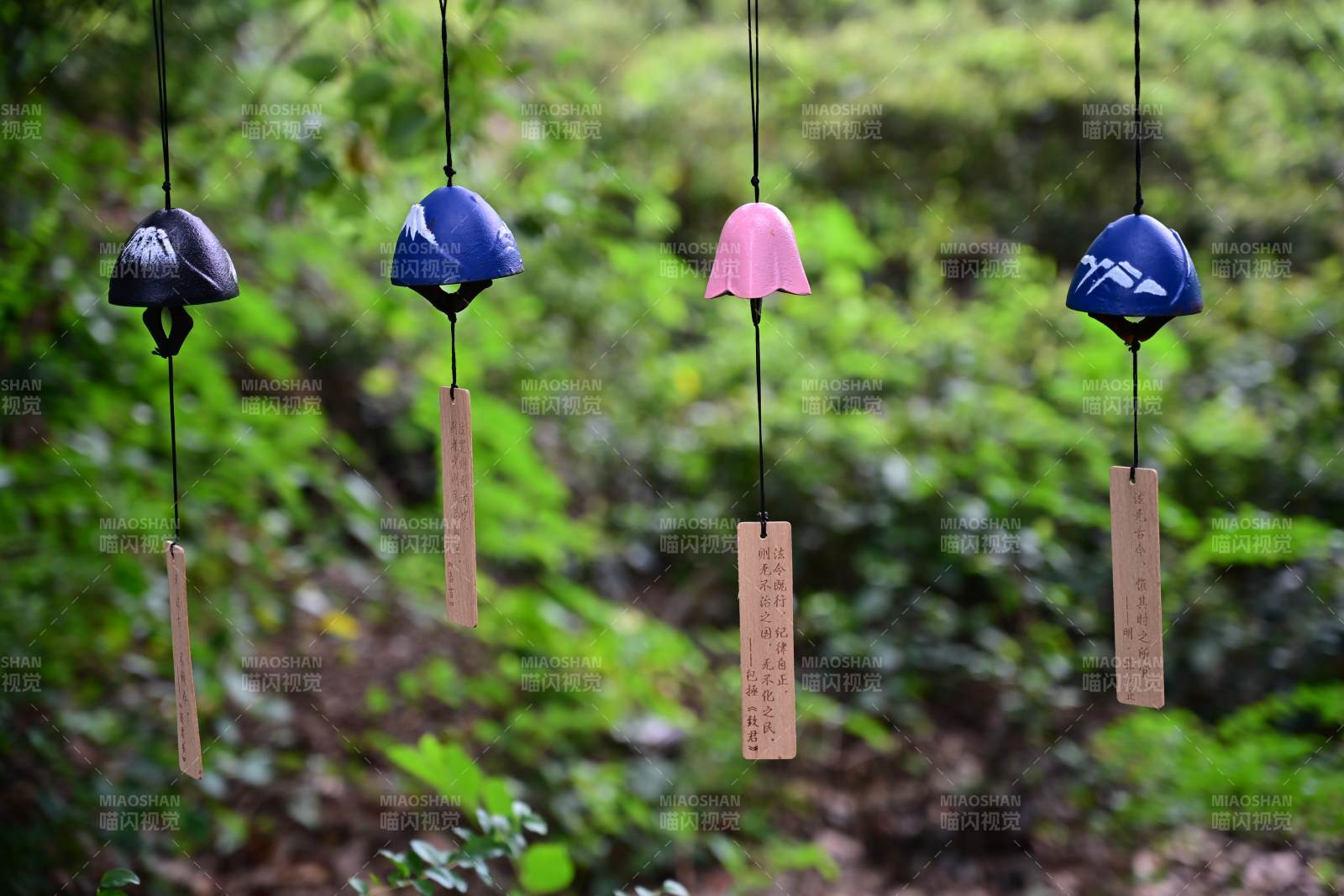 風(fēng)鈴輕搖綠意間