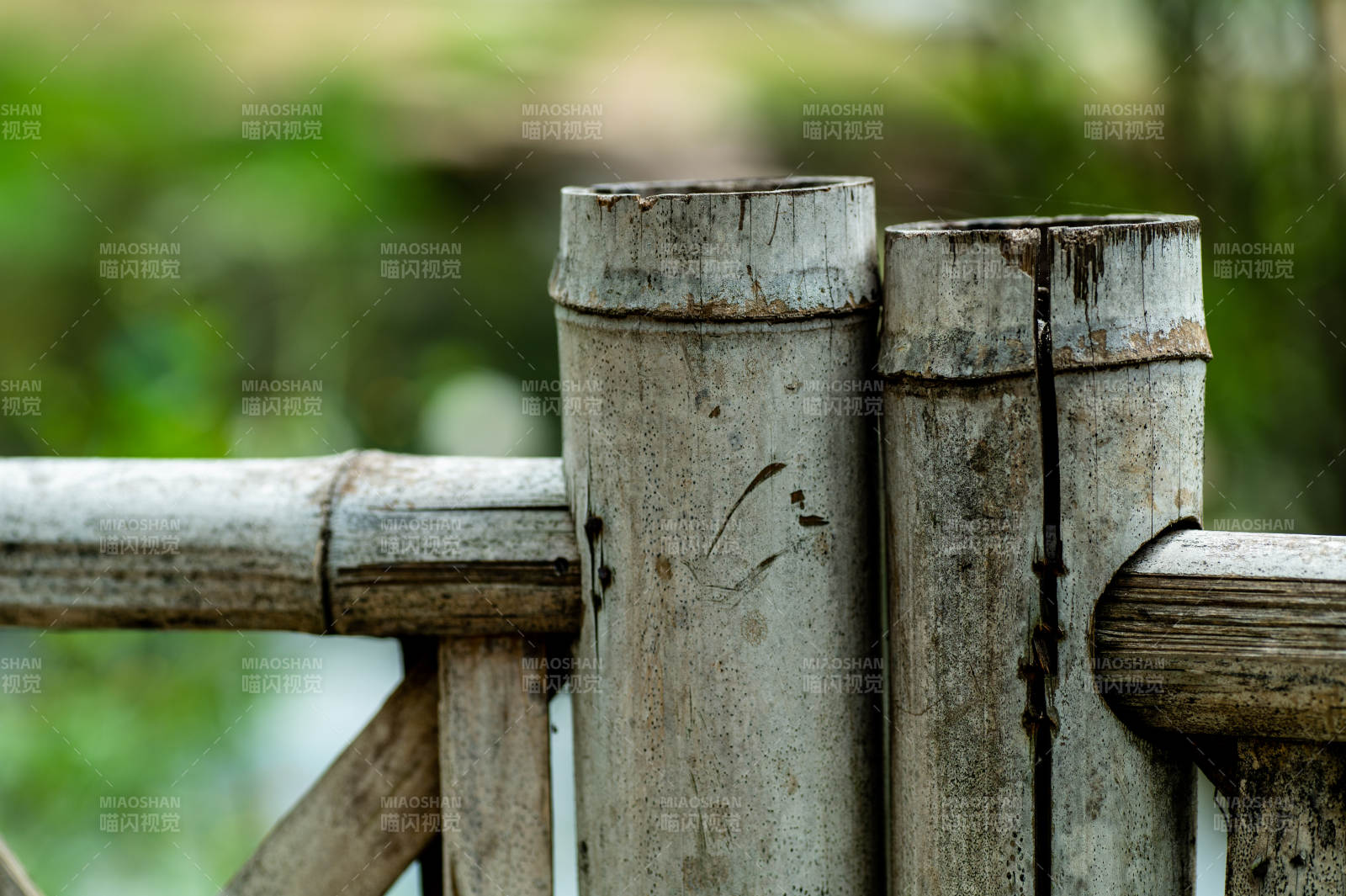 竹欄靜景