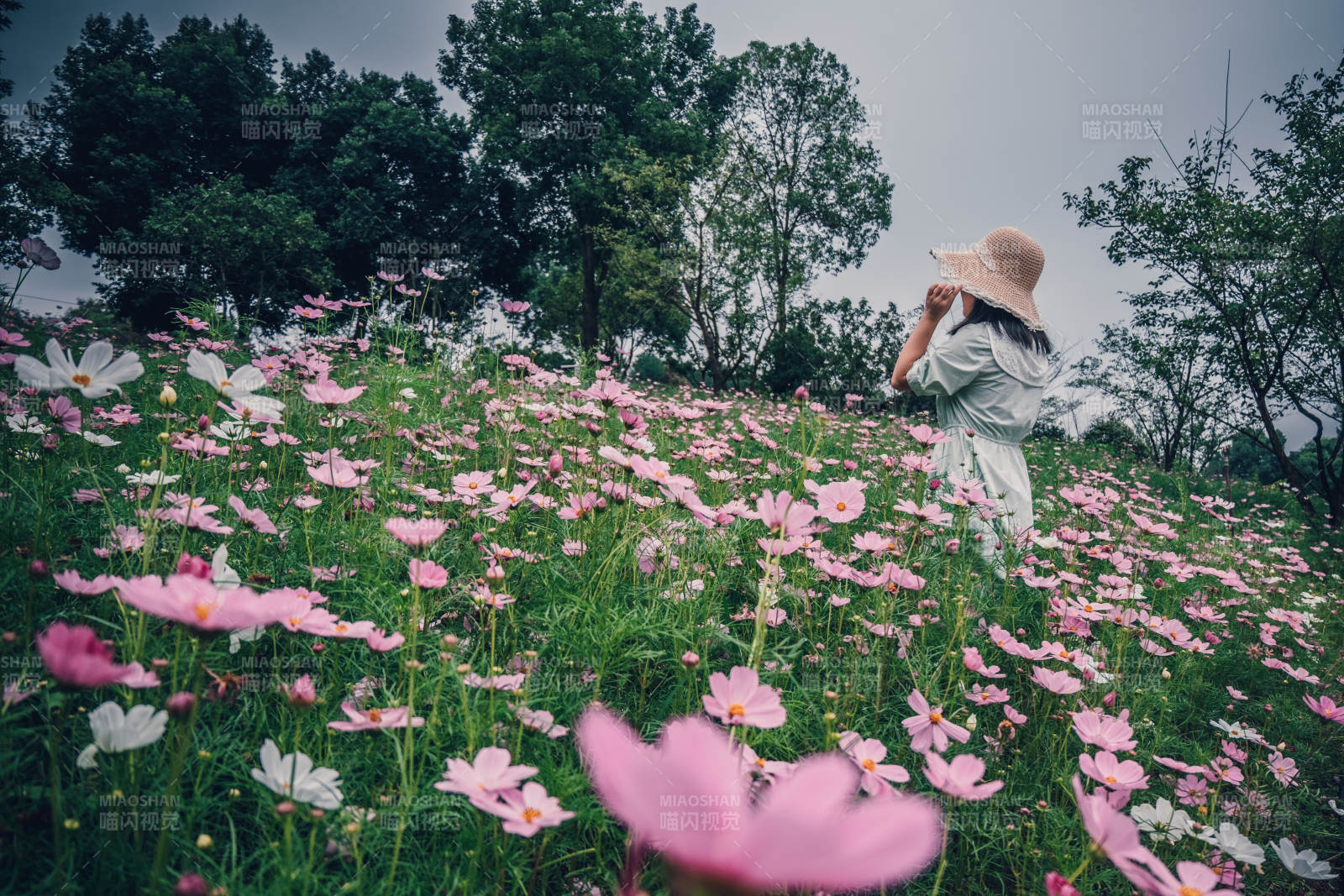 花海中的少女