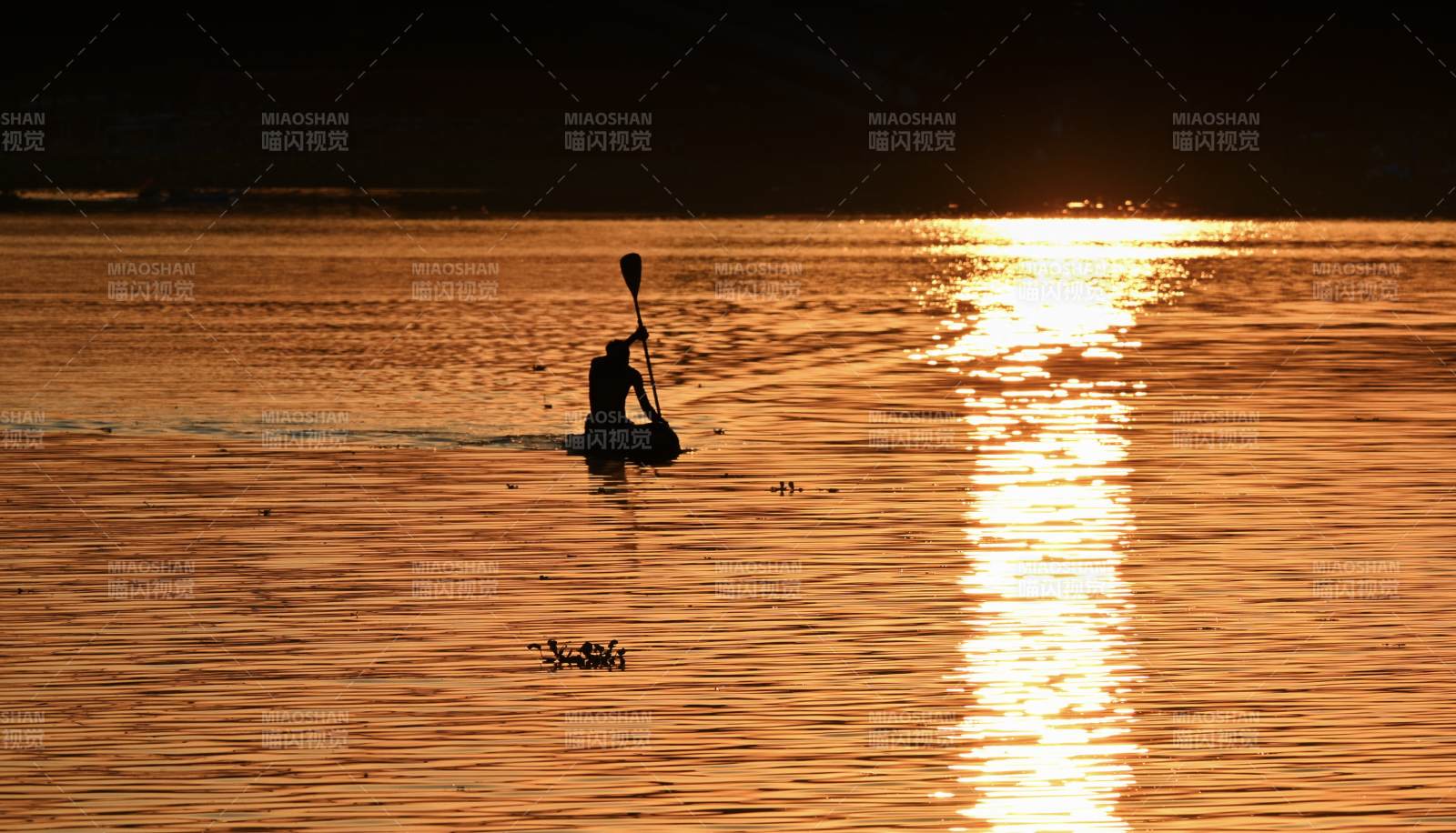 夕陽下的劃槳人