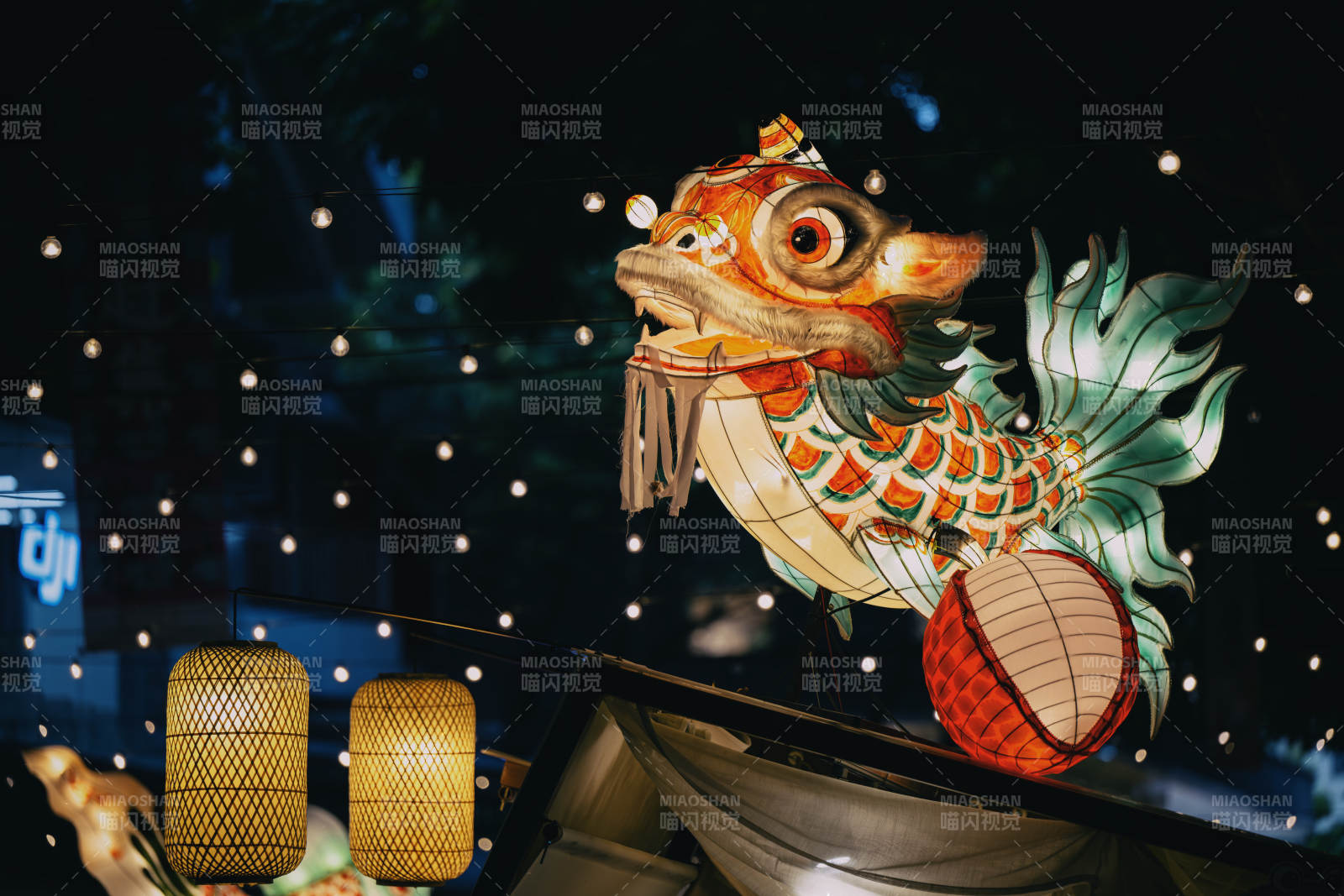 魚燈夜景