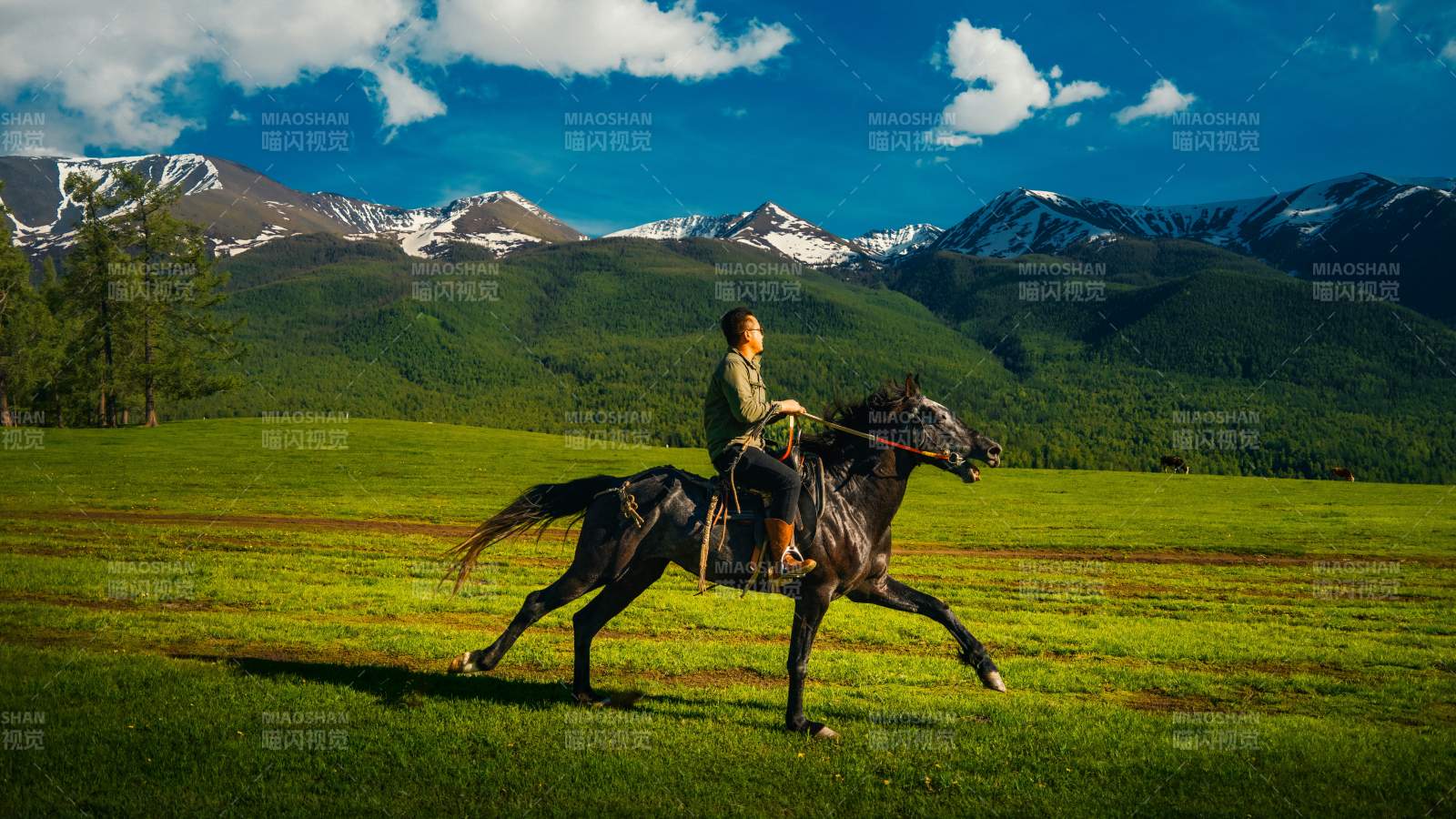 在白哈巴的夕陽下策馬