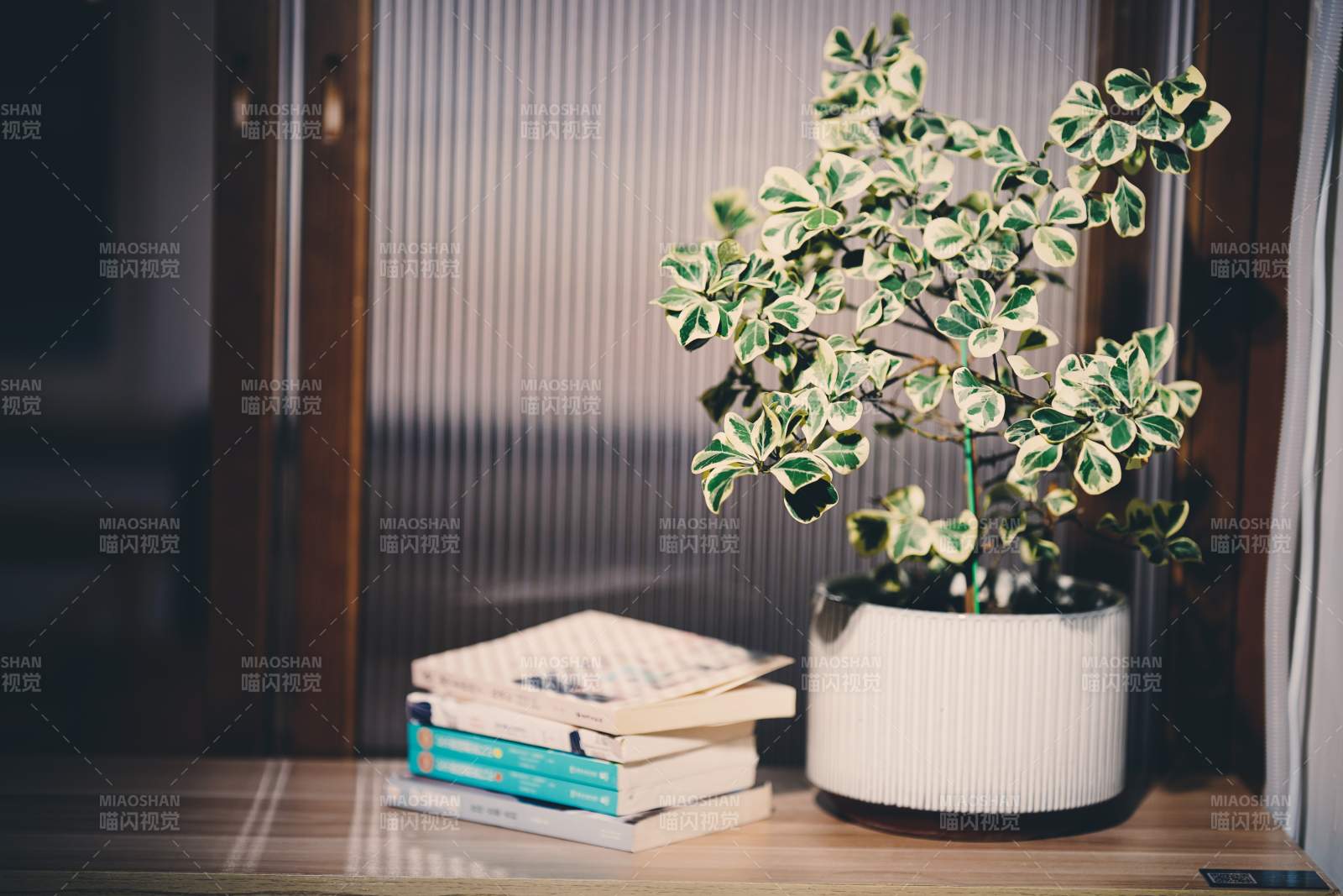 綠植與書相伴