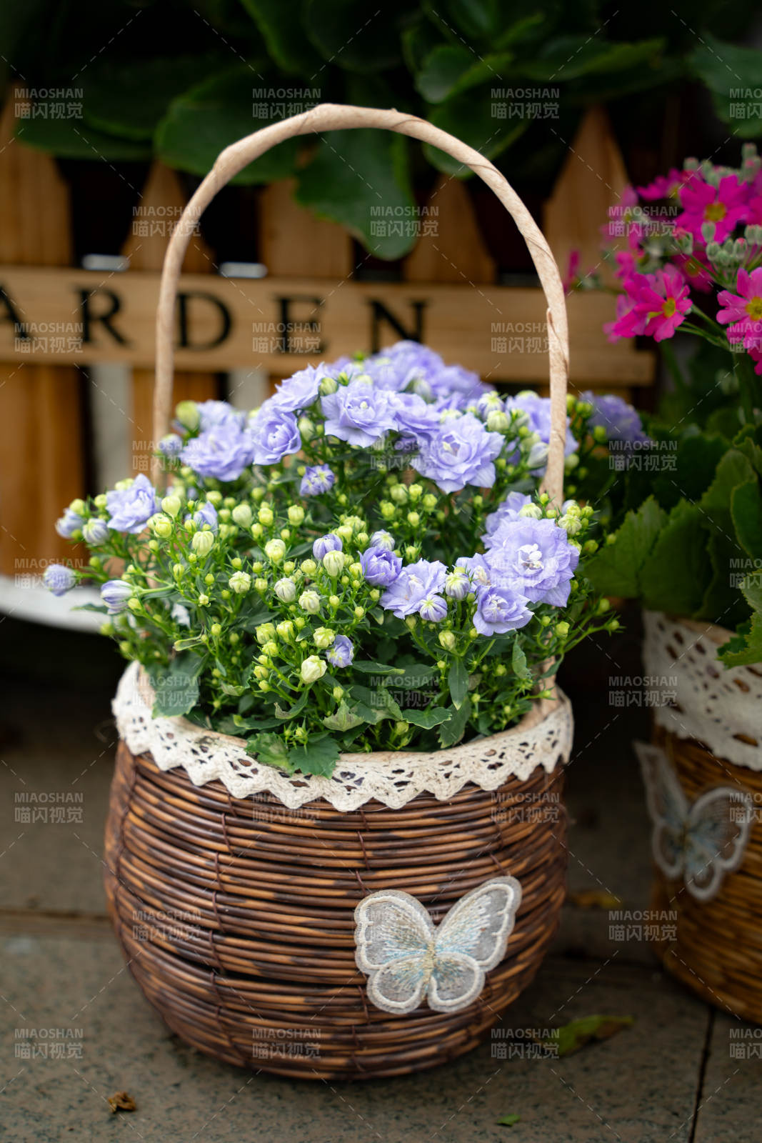 花籃里的紫色小花