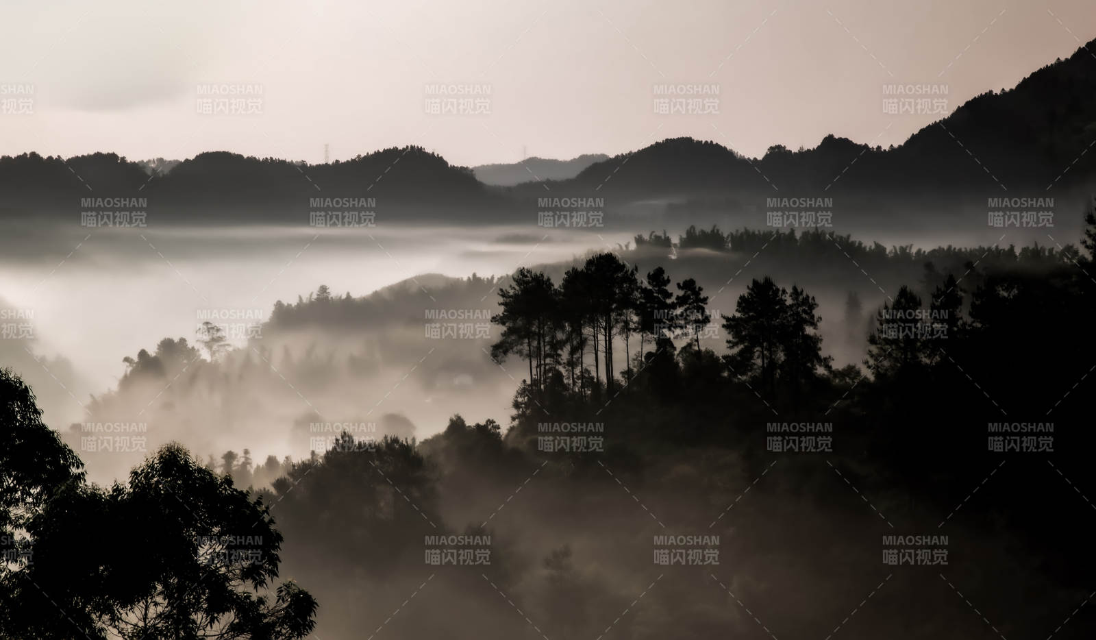霧鎖山林