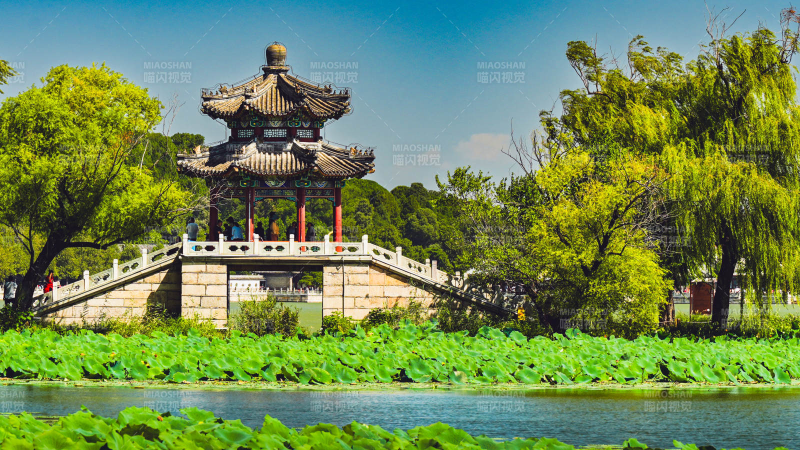 頤和園湖畔古亭綠意濃