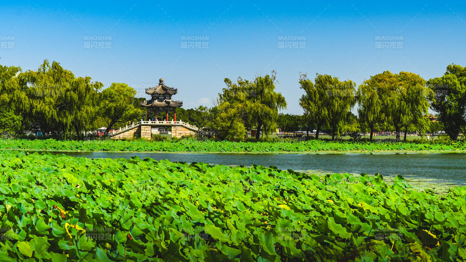 頤和園荷塘古亭美景