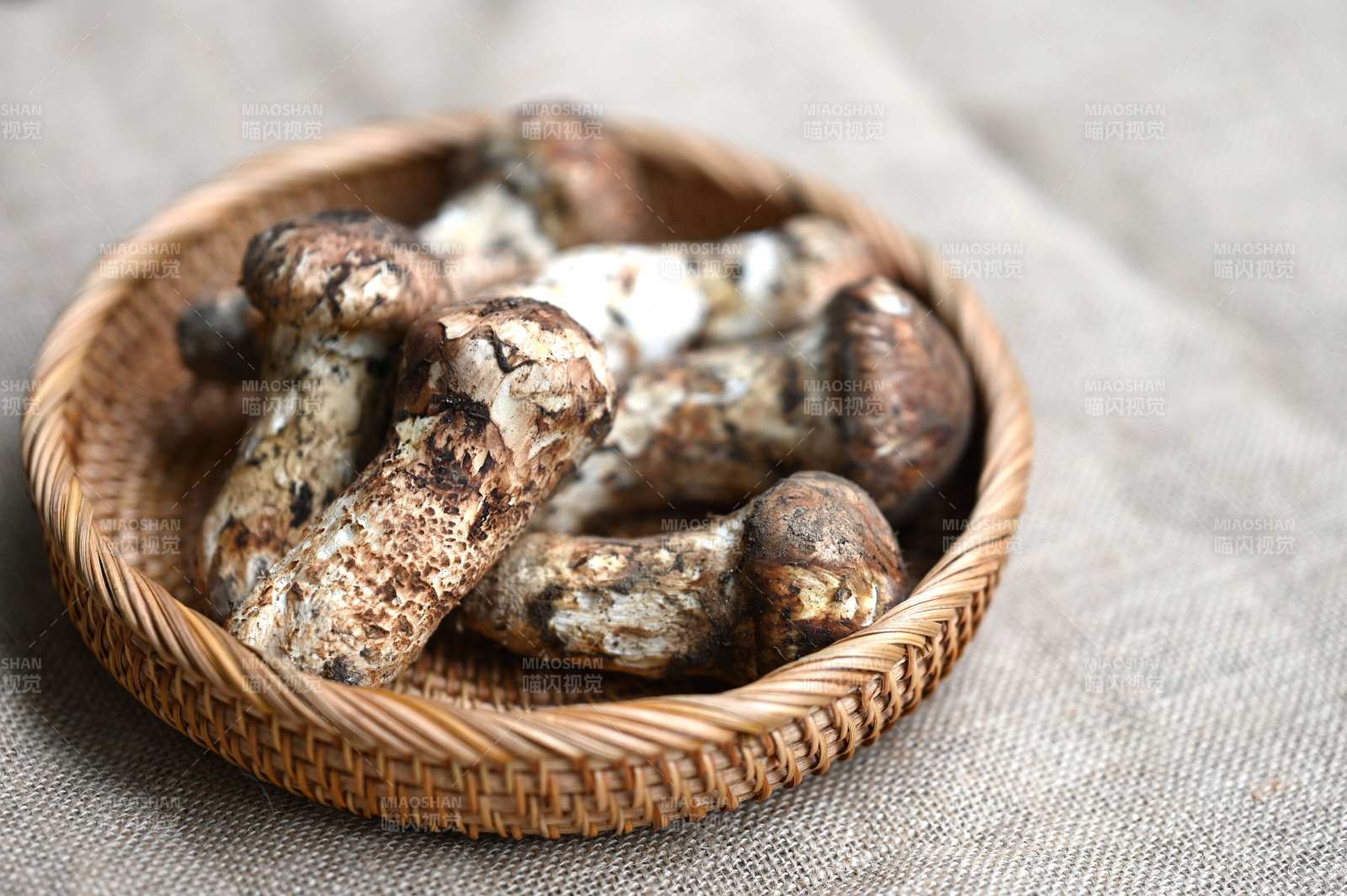 松茸鮮美入籃中