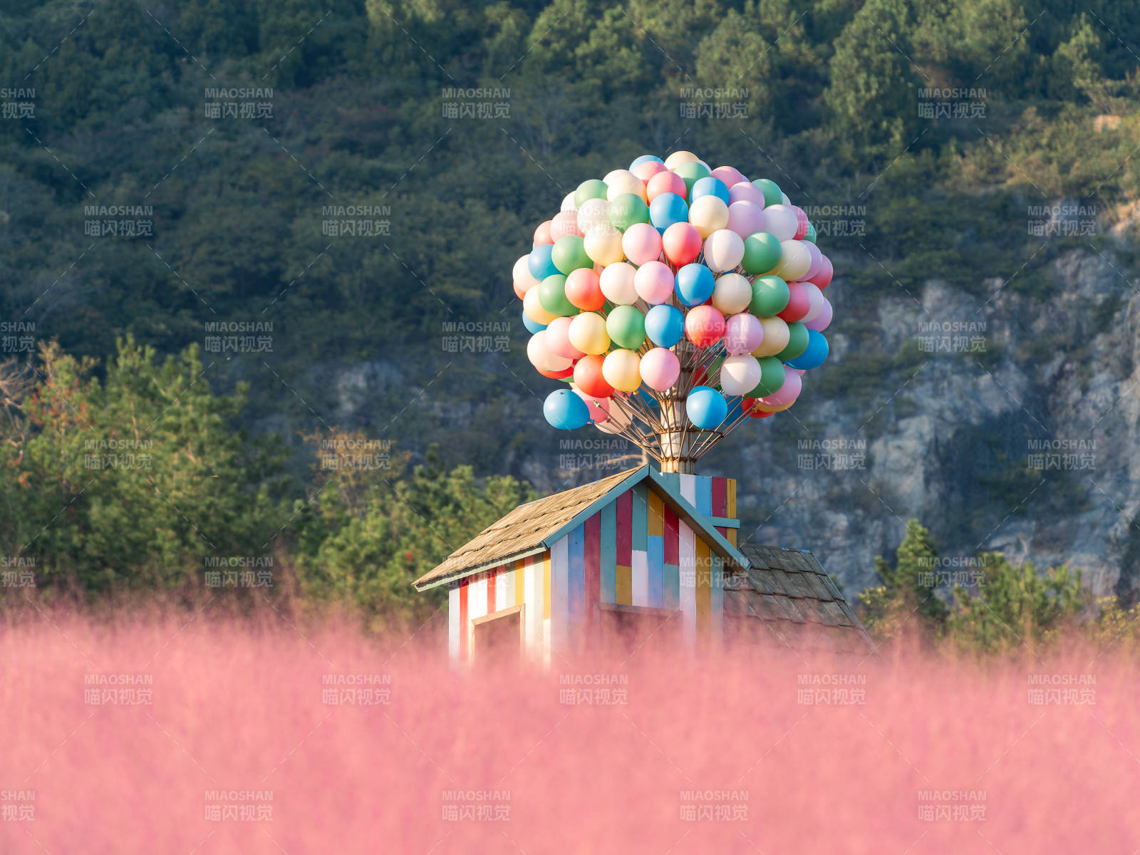 湯山礦坑公園氣球屋漂浮花海